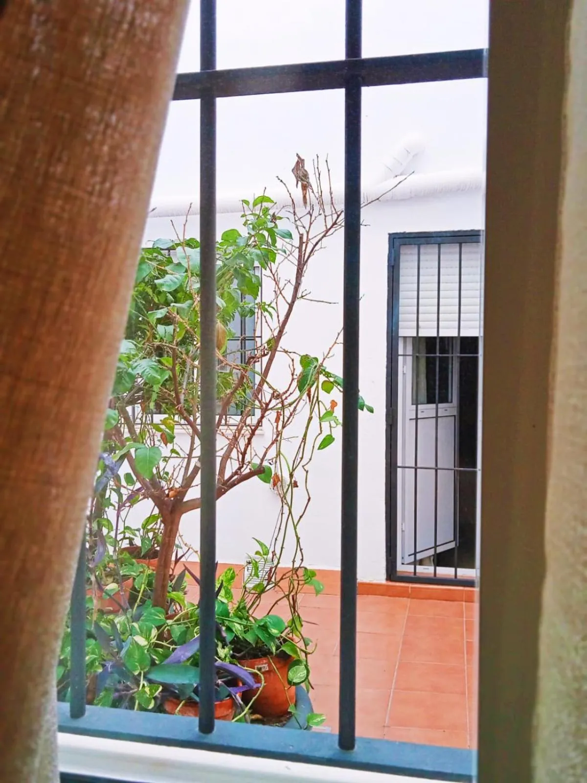 Patio in Hotel Sol Sanlúcar