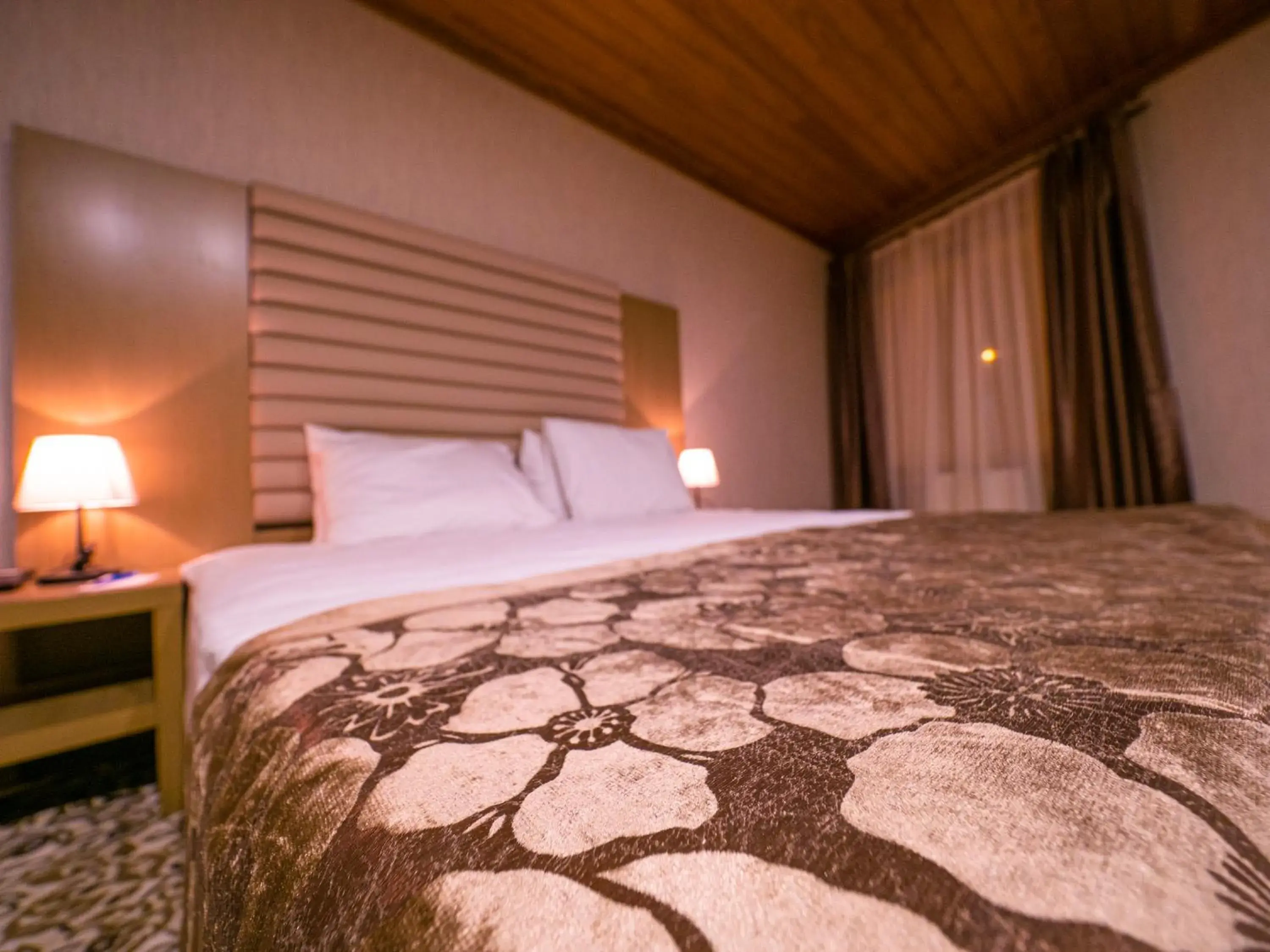 Standard Double Room in Balsoy Mountain Hotel Standard Double Room in Balsoy Mountain Hotel