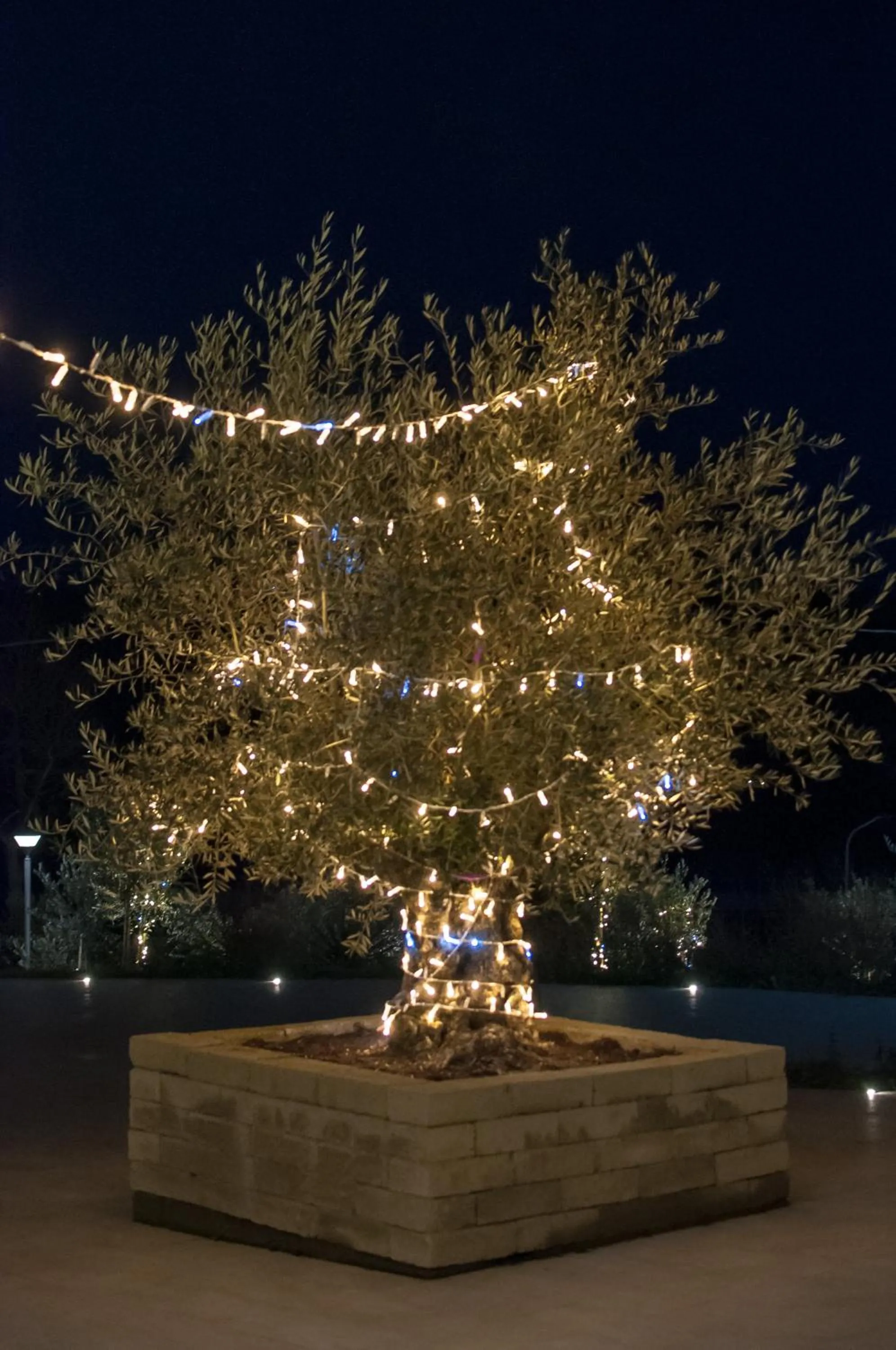 Night in Hotel Ca' di Gali