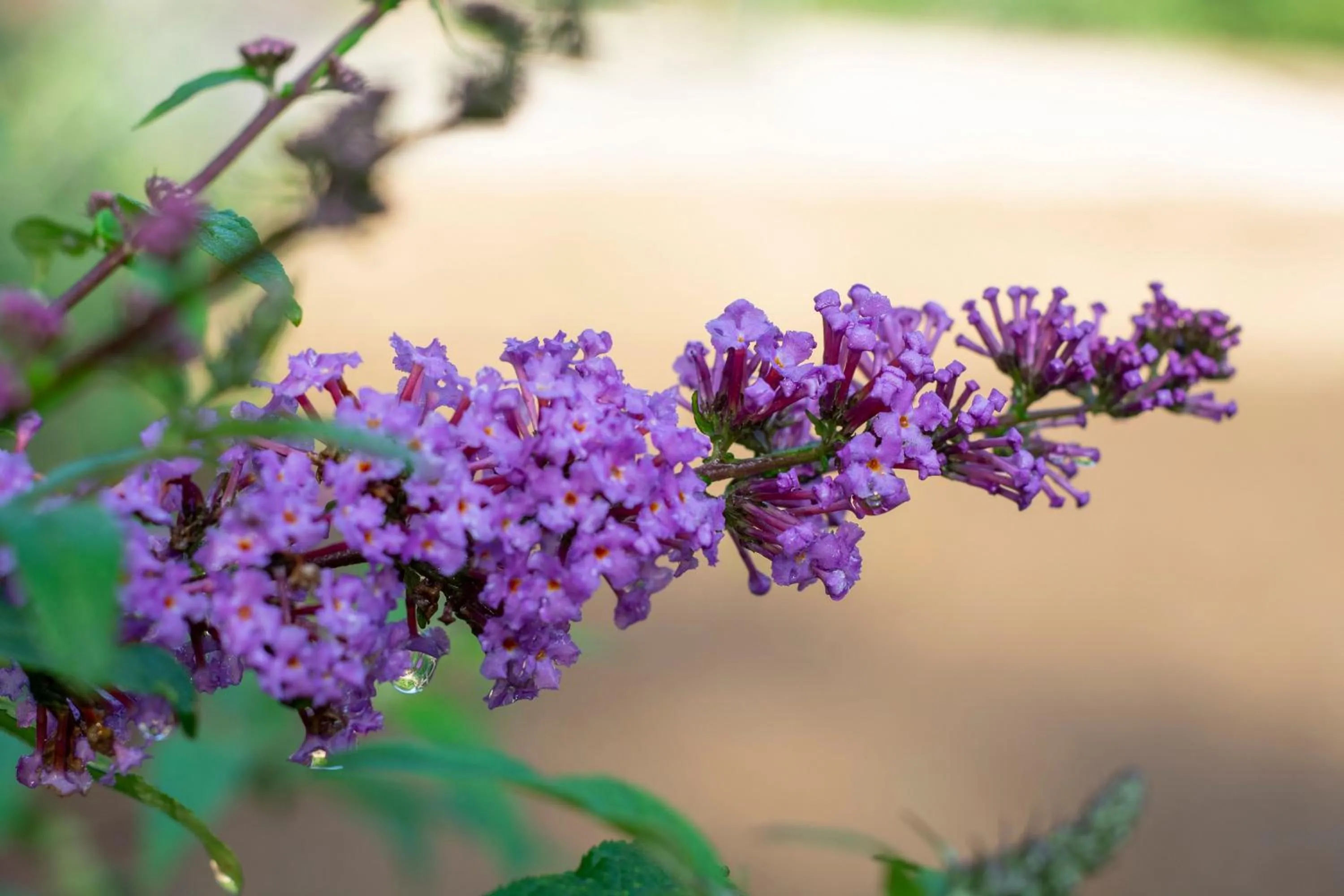 Natural landscape in Boutique Villa Pearl of Plitvice, Plitvice Lakes