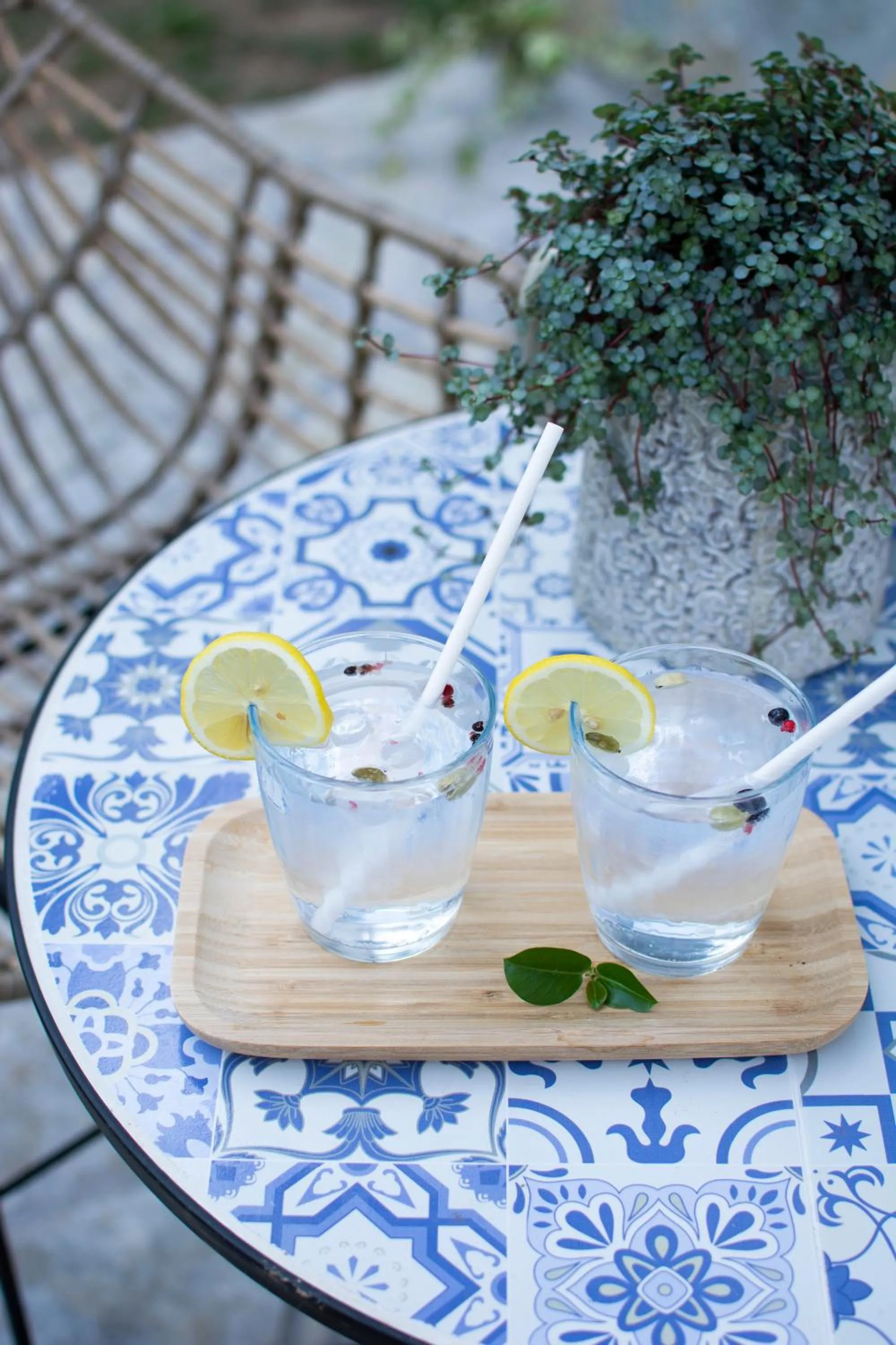 Drinks in Boutique Villa Pearl of Plitvice, Plitvice Lakes