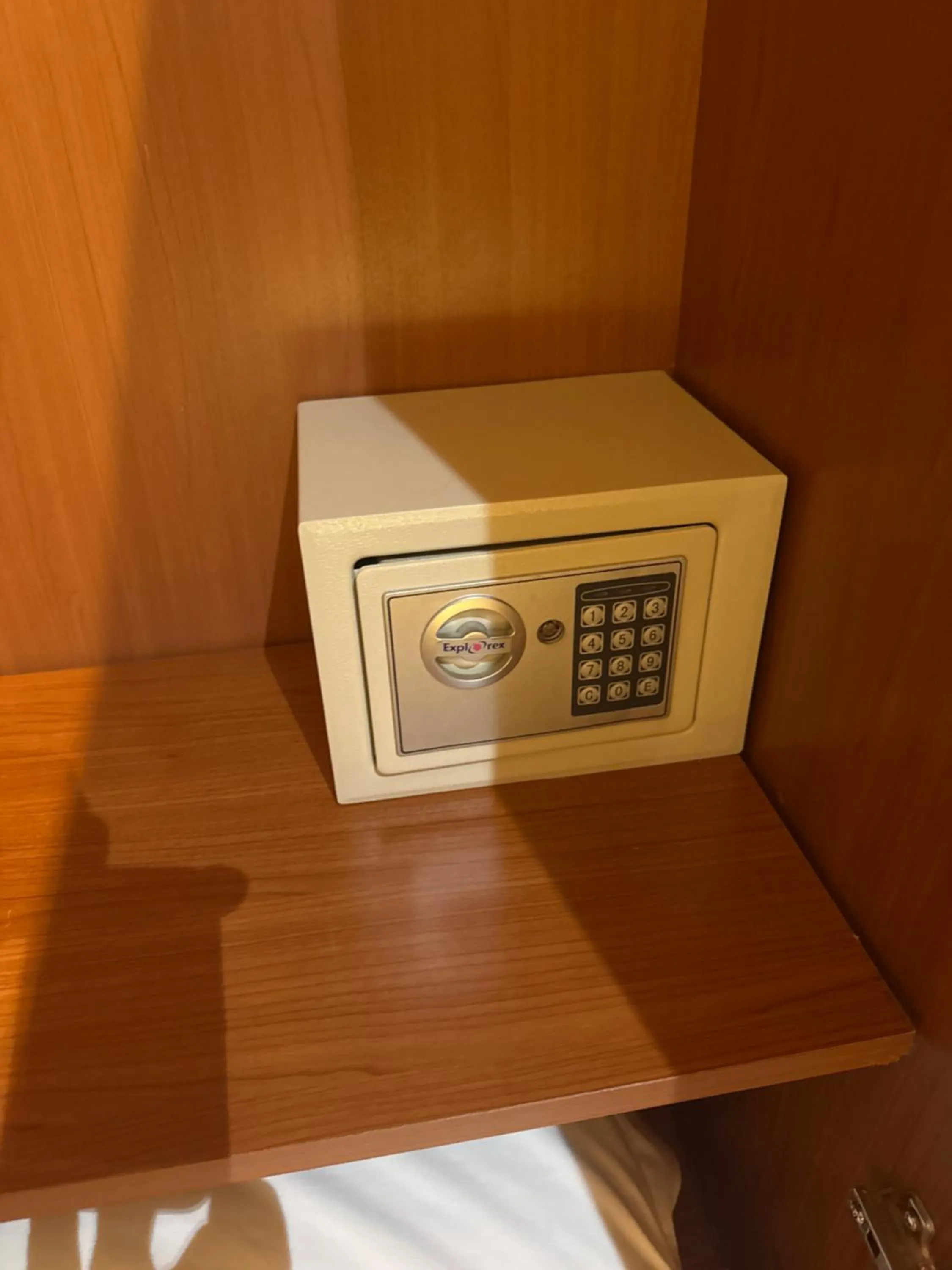 safe in Albergo Parigi