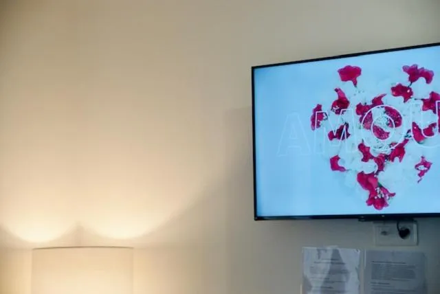 TV and multimedia in Appart' hôtel 7 sensation