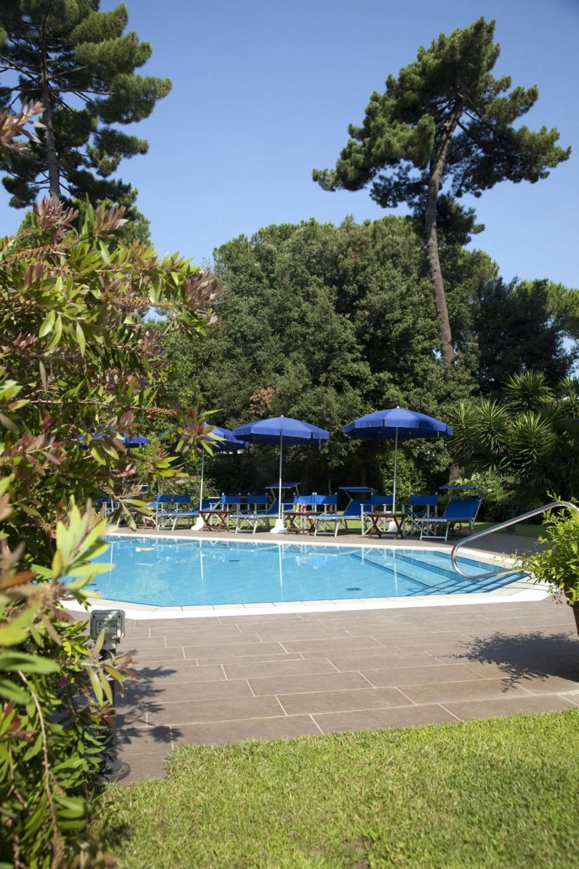 Garden in Hotel Venezia