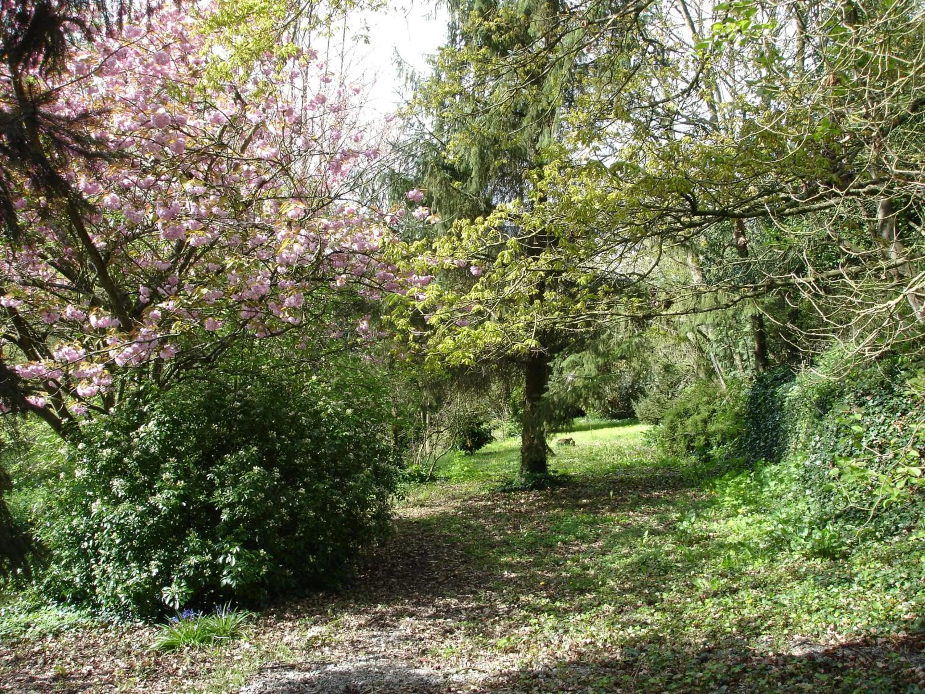 Garden view in Les Vallées du Guyoult