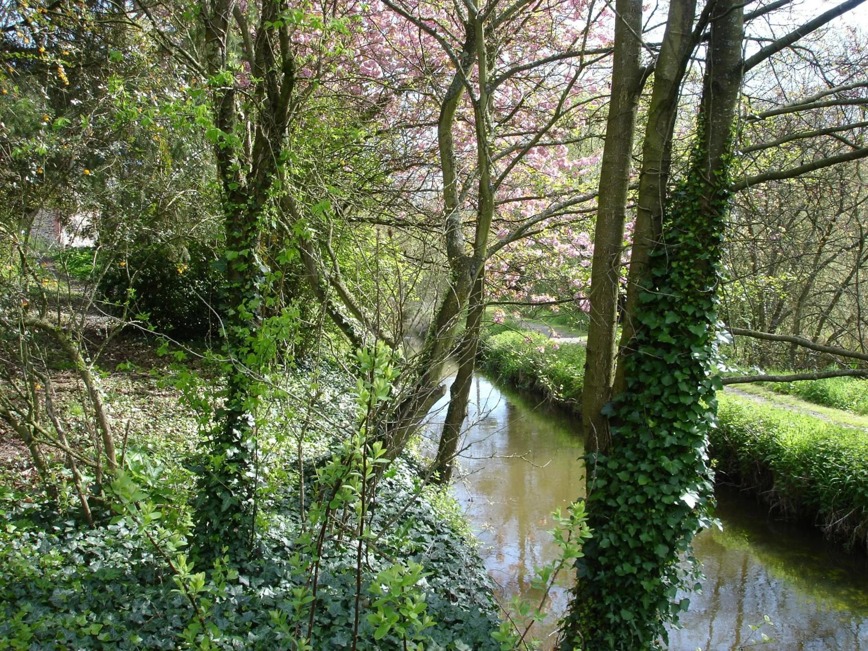 River view in Les Vallées du Guyoult
