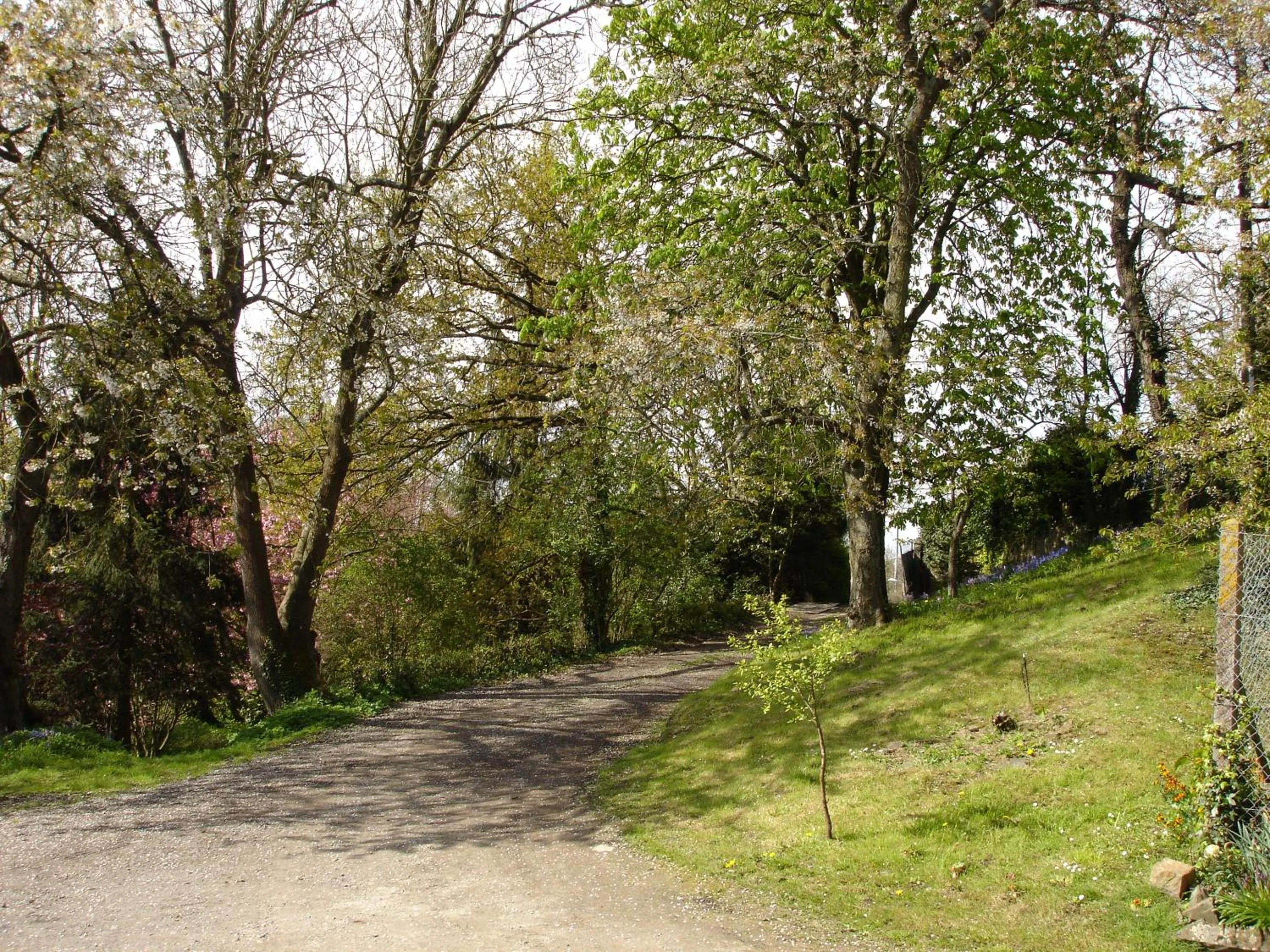 Street view in Les Vallées du Guyoult