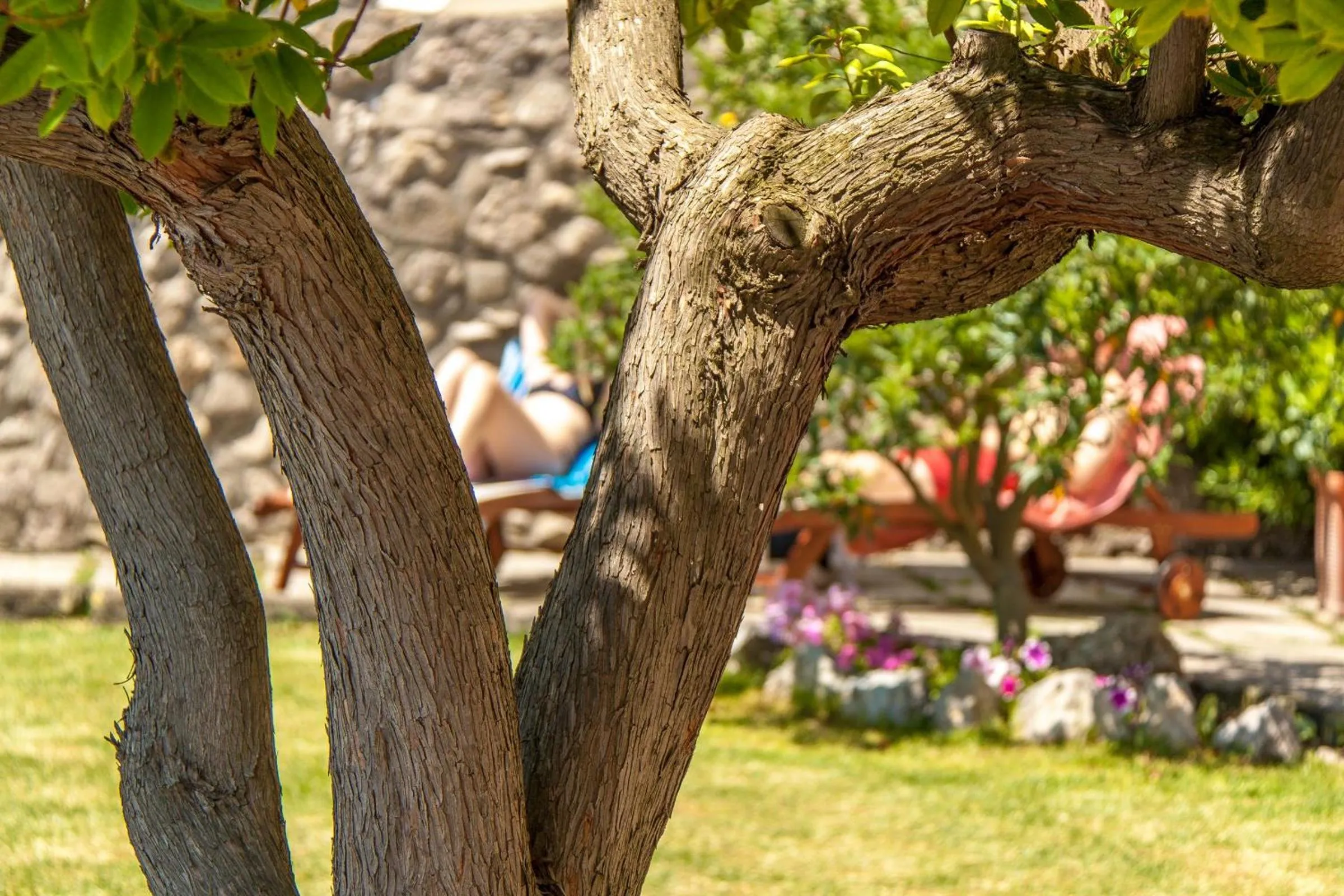 Garden in Villarena Relais
