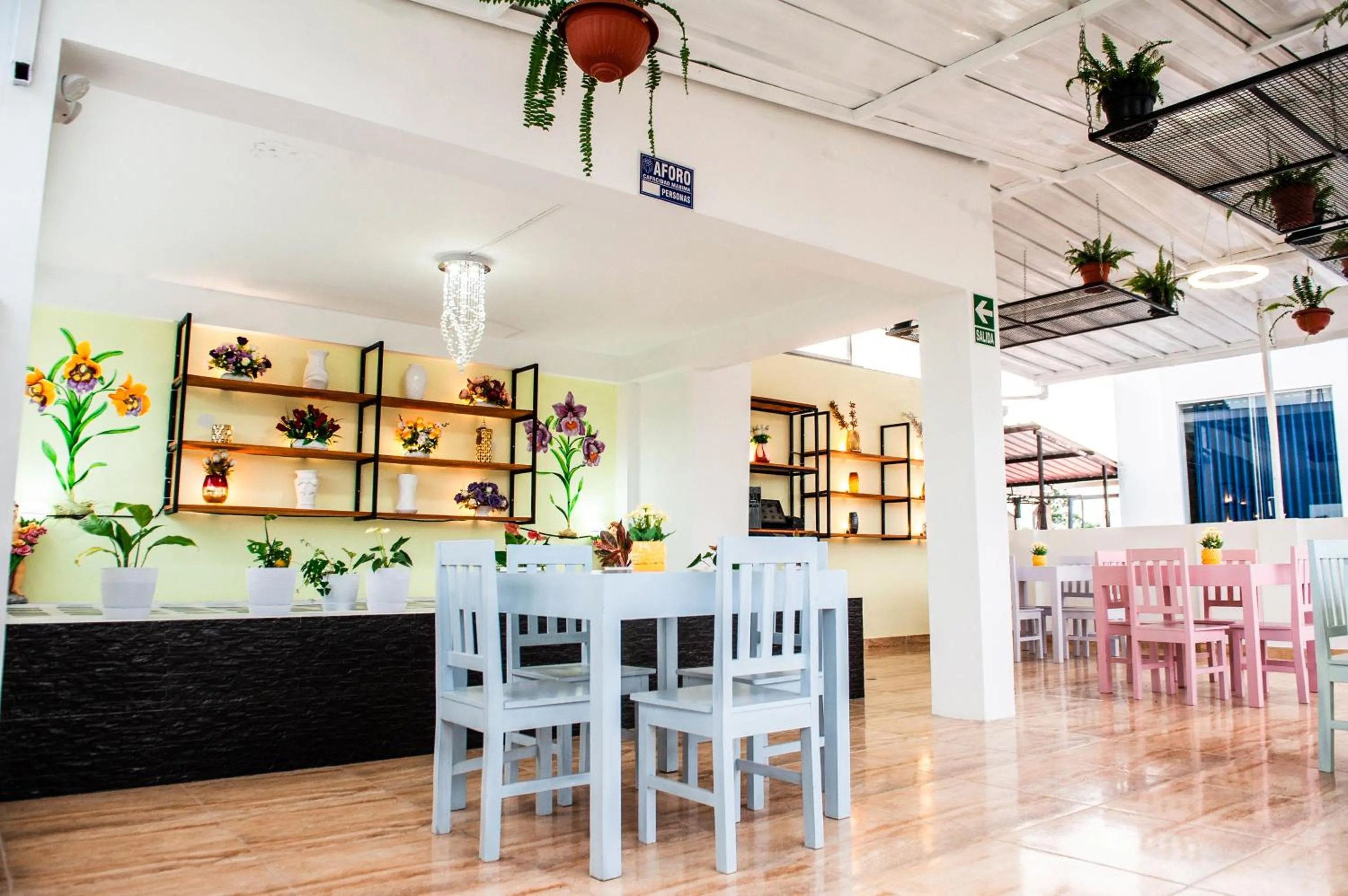 Restaurant/places to eat in Hotel Boutique Papagayo