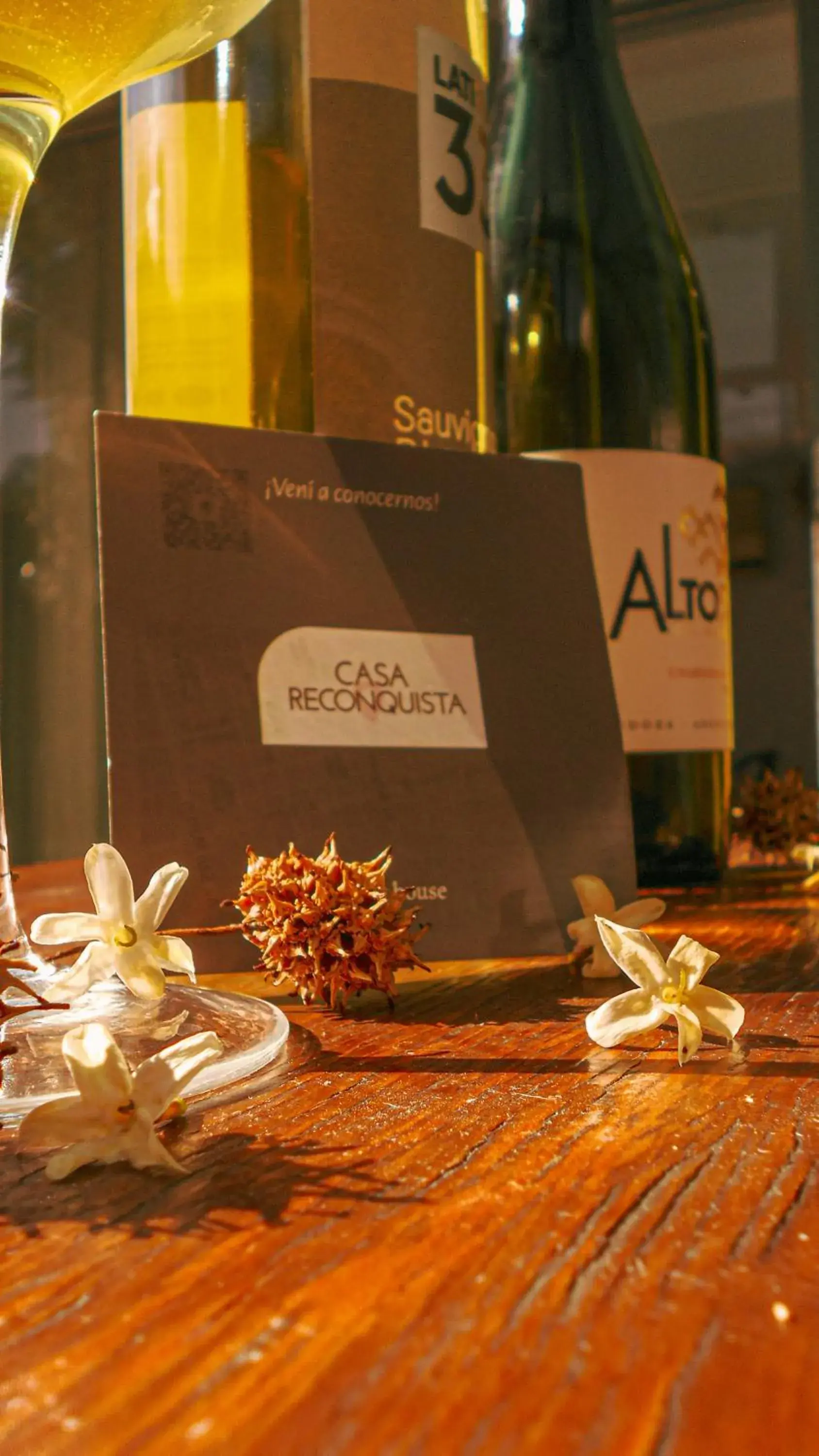 Garden view in Casa Reconquista Garden view in Casa Reconquista