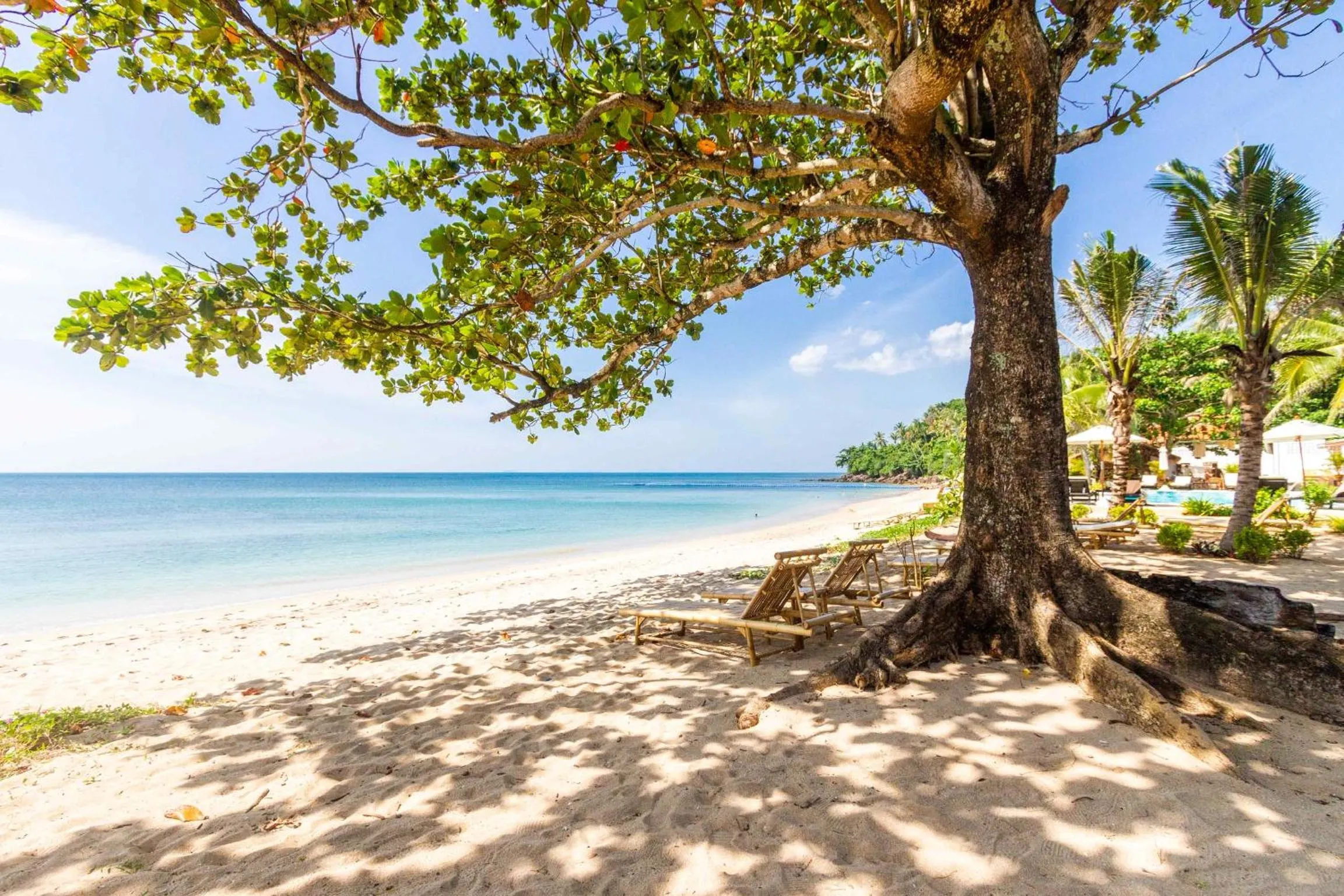 Beach in Lanta Palace Beach Resort & Spa - Adult Only