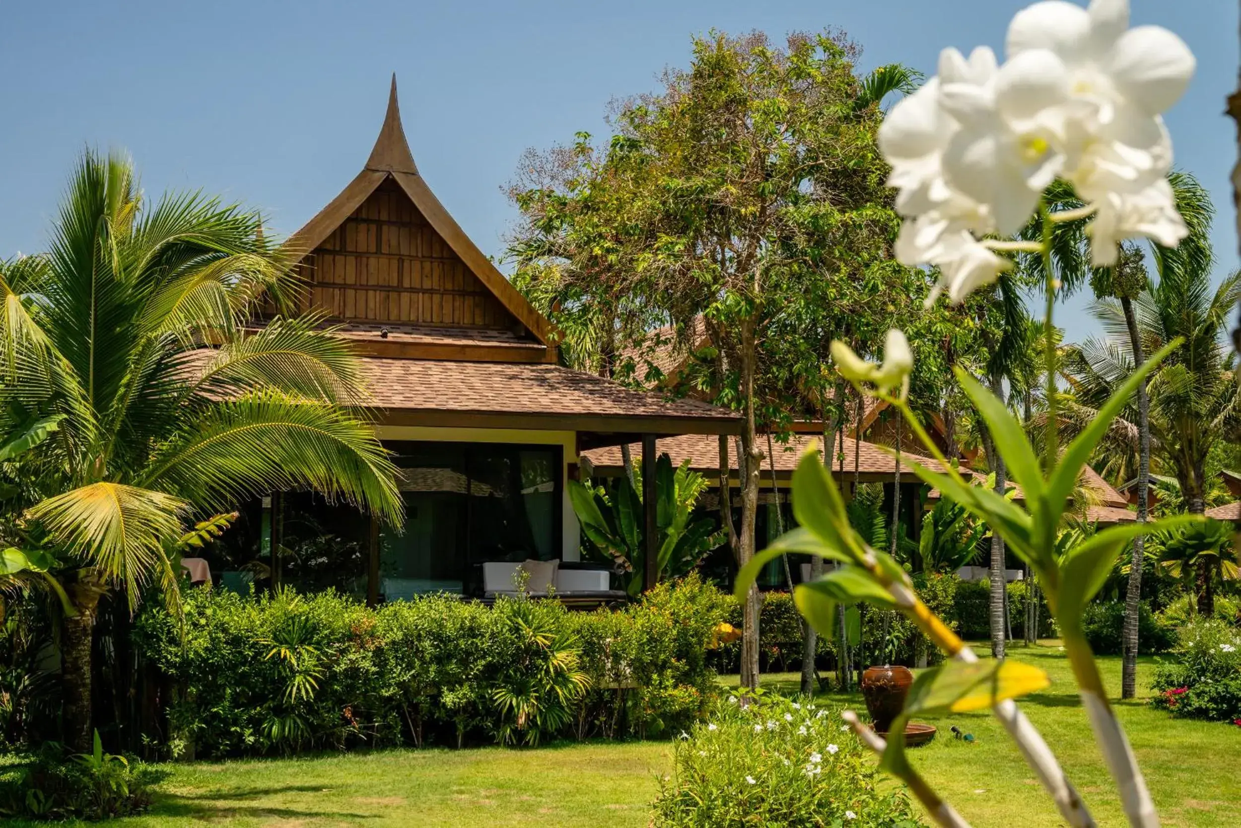 Garden view in Lanta Palace Beach Resort & Spa - Adult Only Garden view in Lanta Palace Beach Resort & Spa - Adult Only