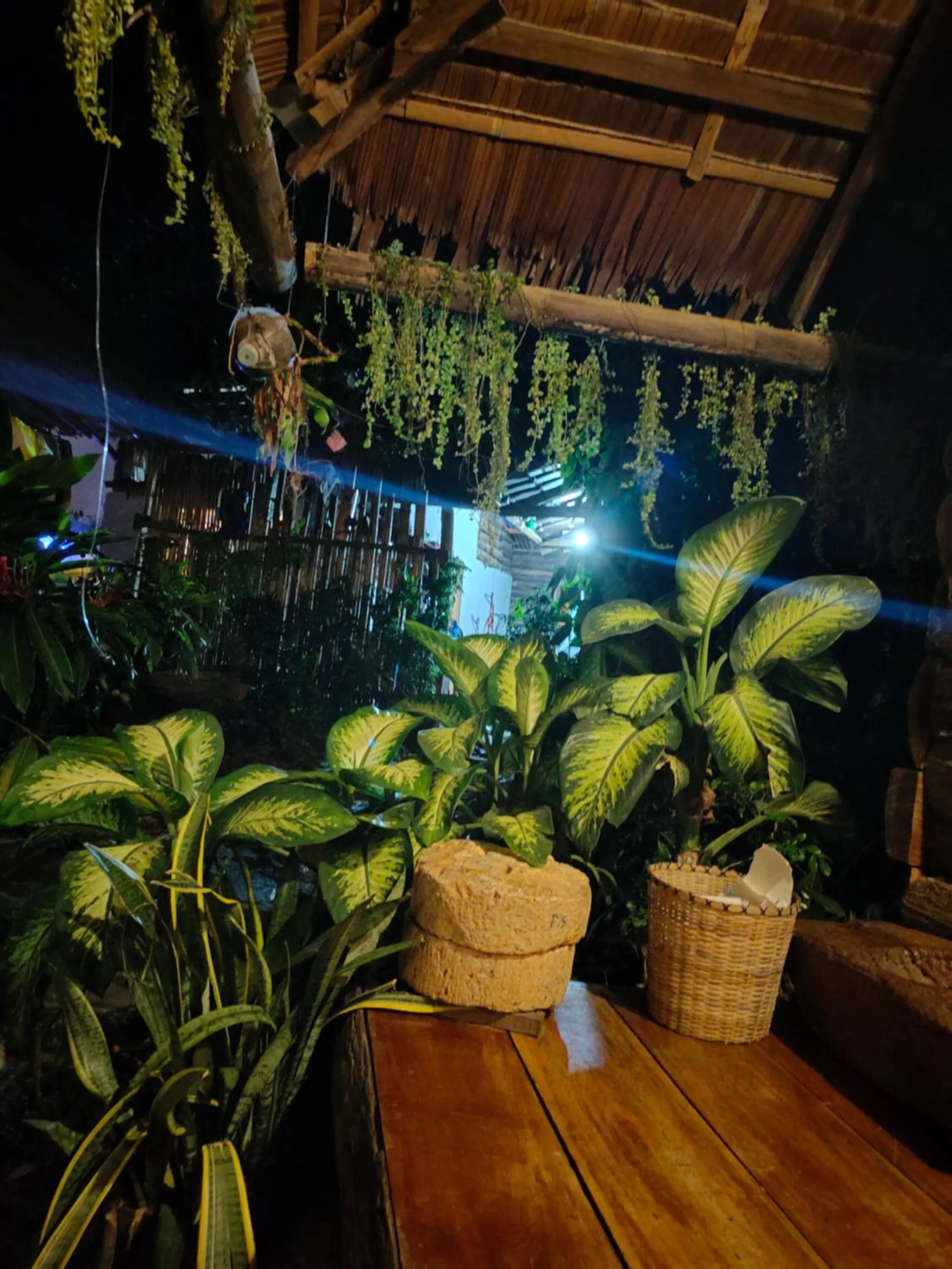 Payag n' Kapitan, Experience pinubre living