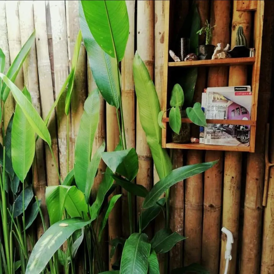 Payag n' Kapitan, Experience pinubre living