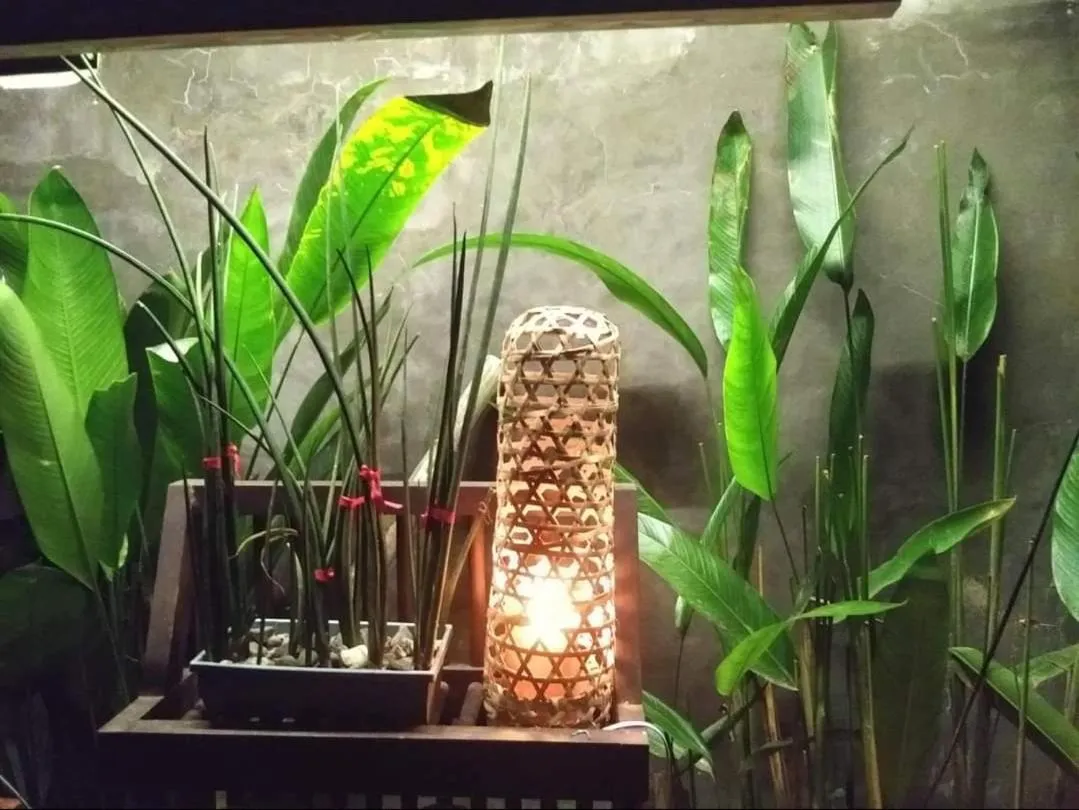 Payag n' Kapitan, Experience pinubre living