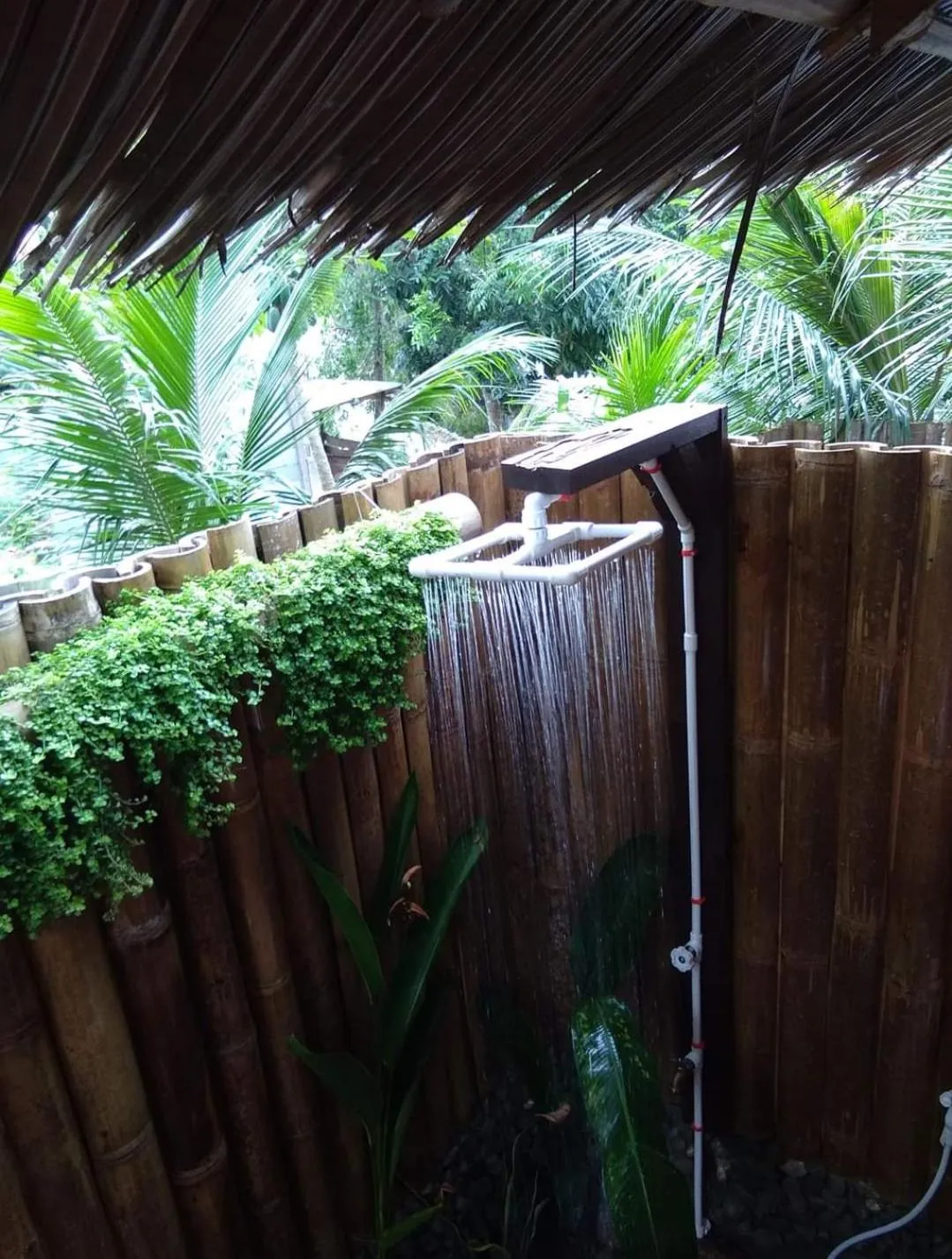 Payag n' Kapitan, Experience pinubre living