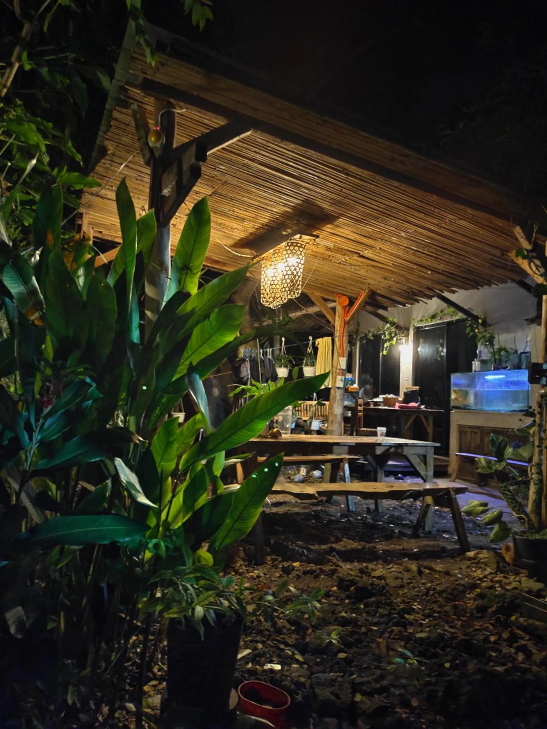 Payag n' Kapitan, Experience pinubre living