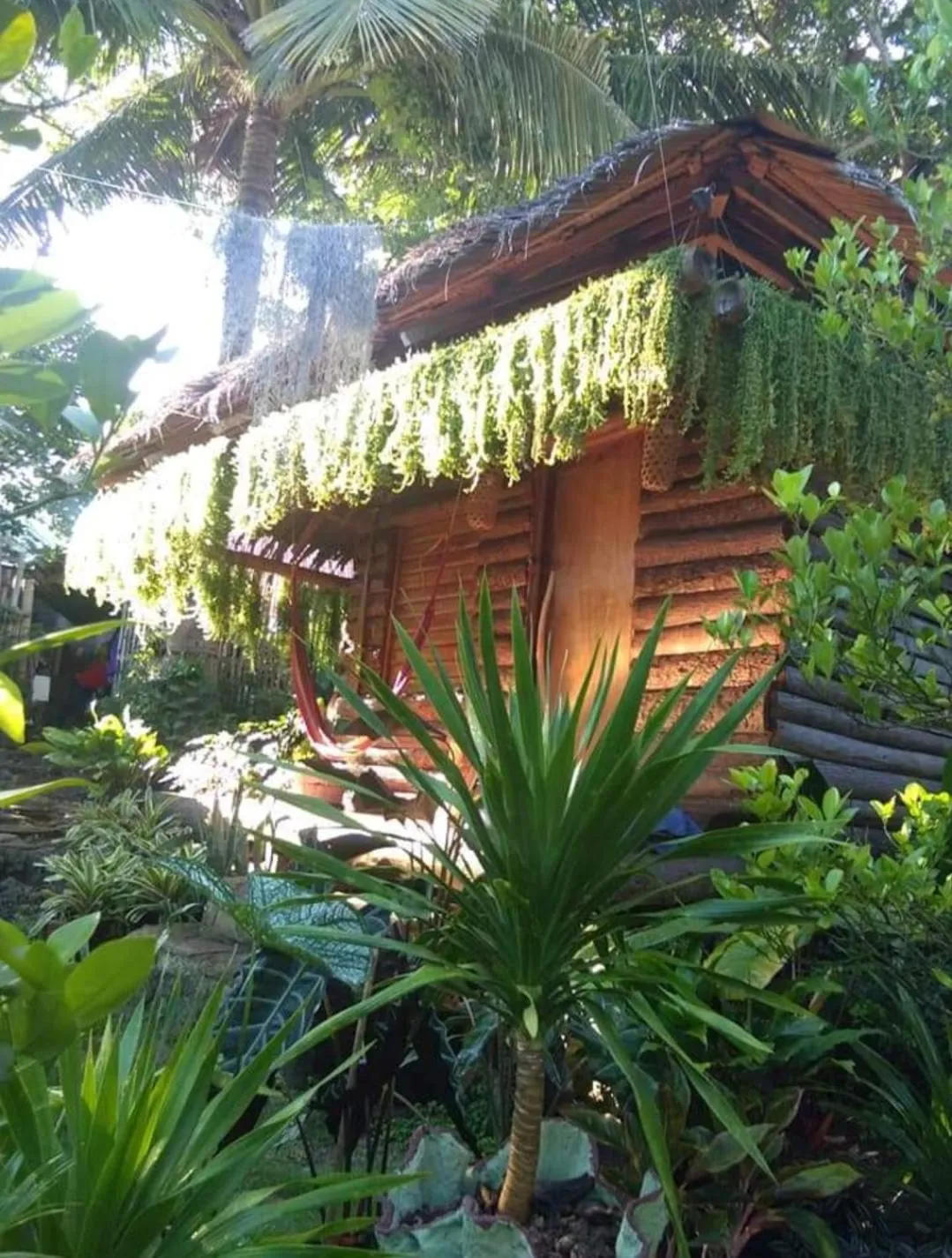 Payag n' Kapitan, Experience pinubre living