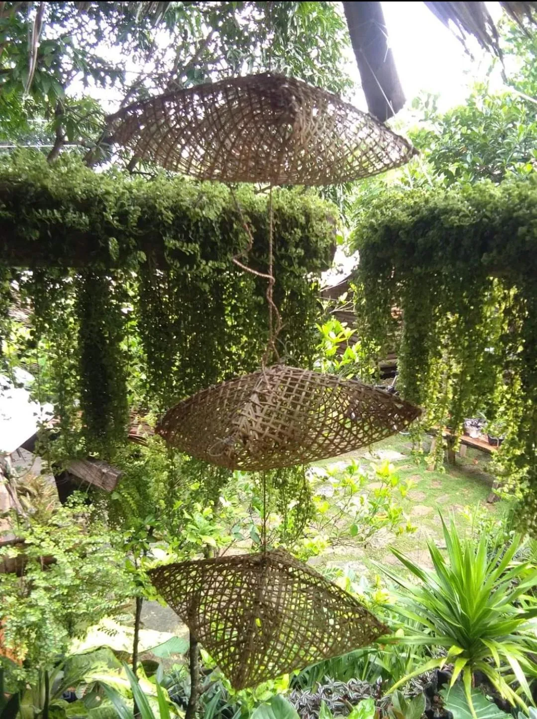 Payag n' Kapitan, Experience pinubre living