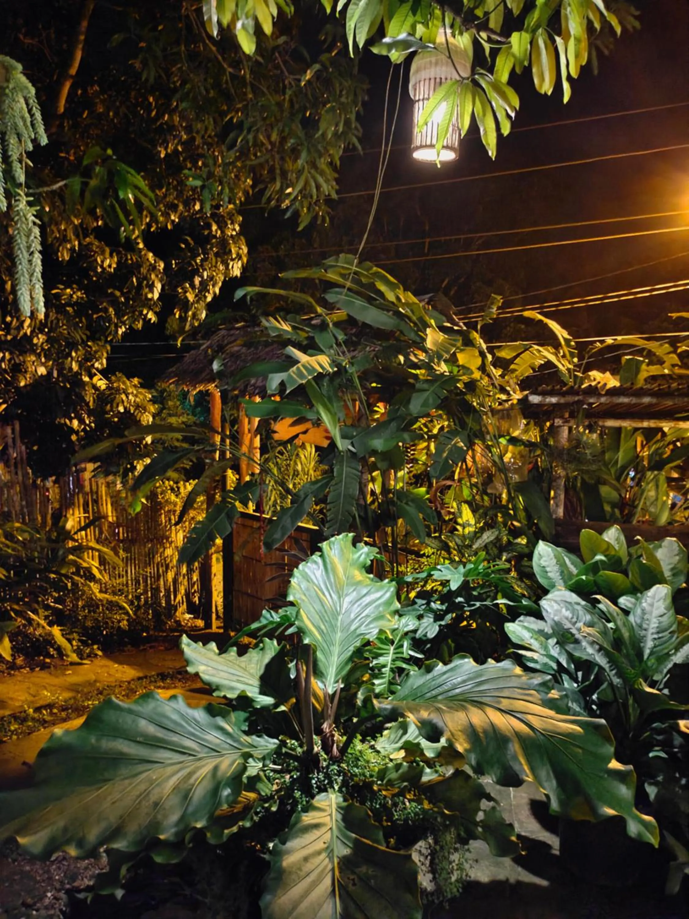 Payag n' Kapitan, Experience pinubre living