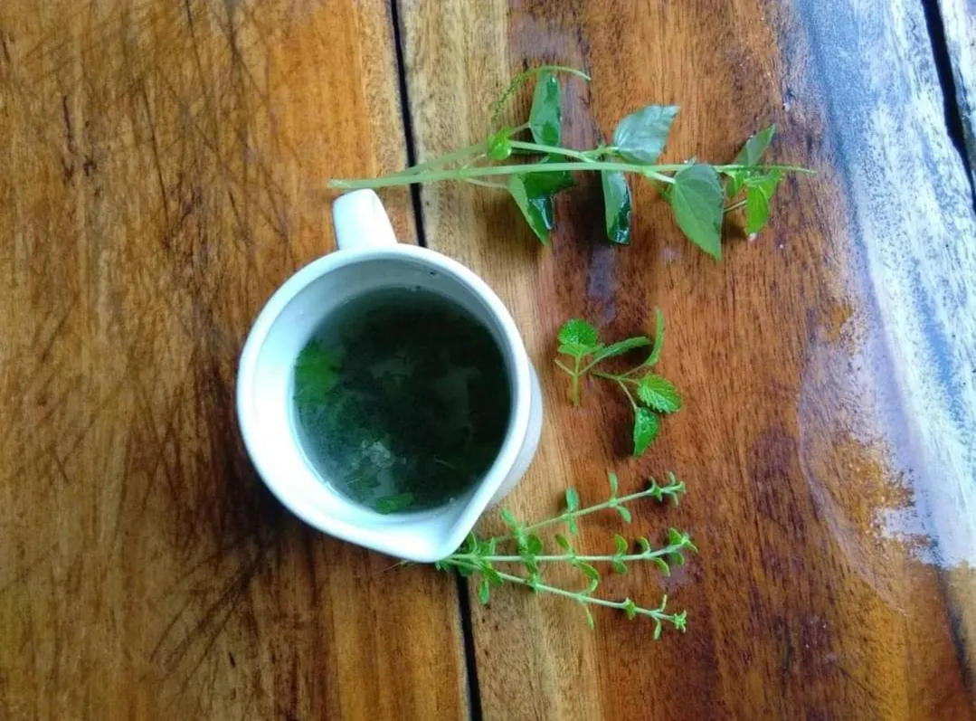 Payag n' Kapitan, Experience pinubre living