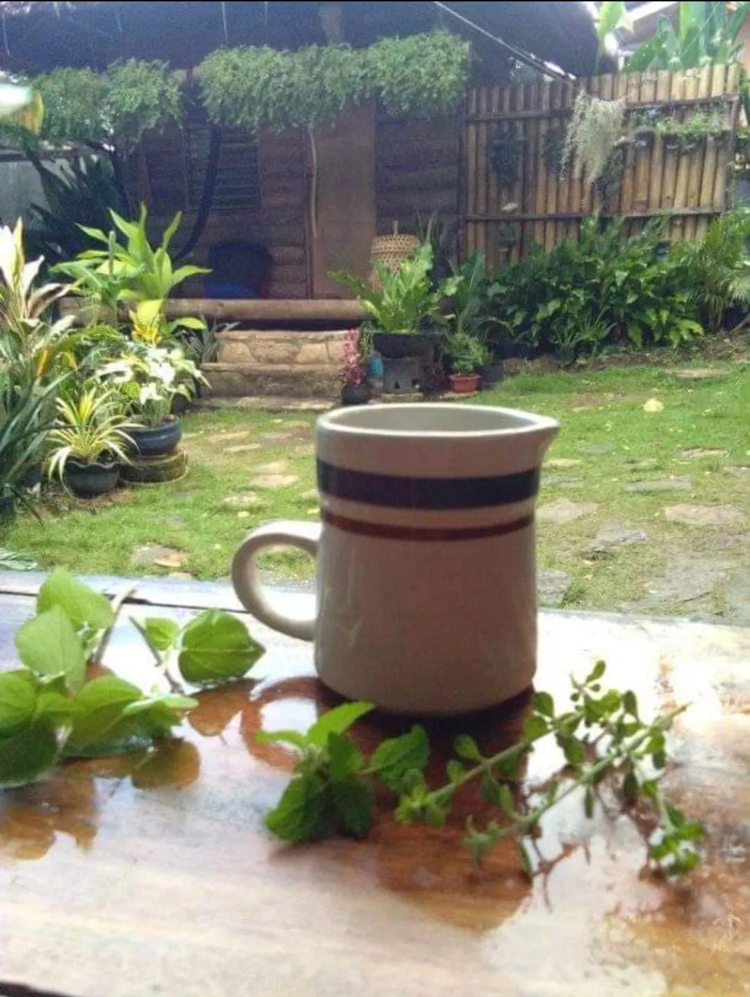 Payag n' Kapitan, Experience pinubre living