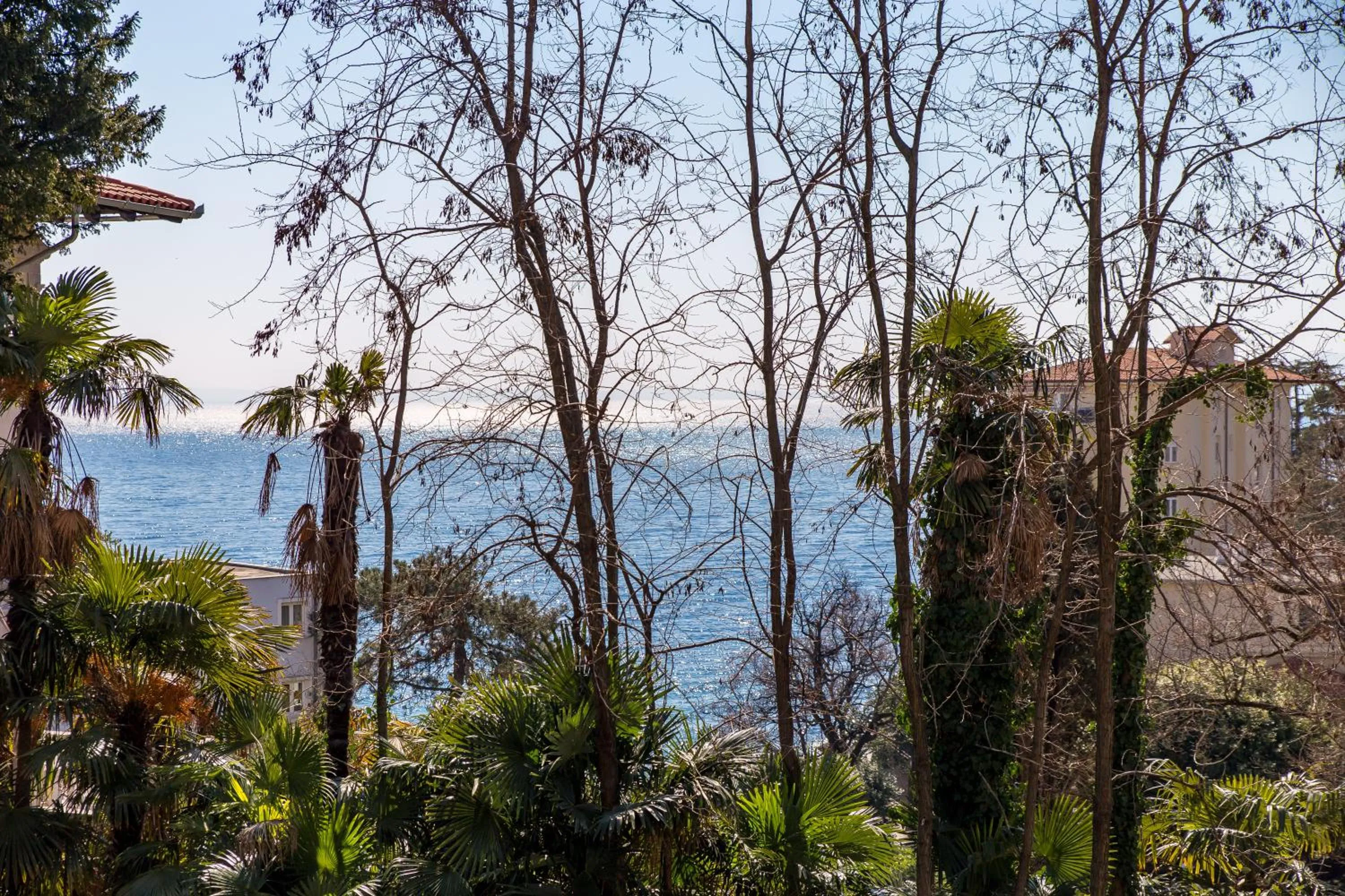 Garden in Apartman Rhea