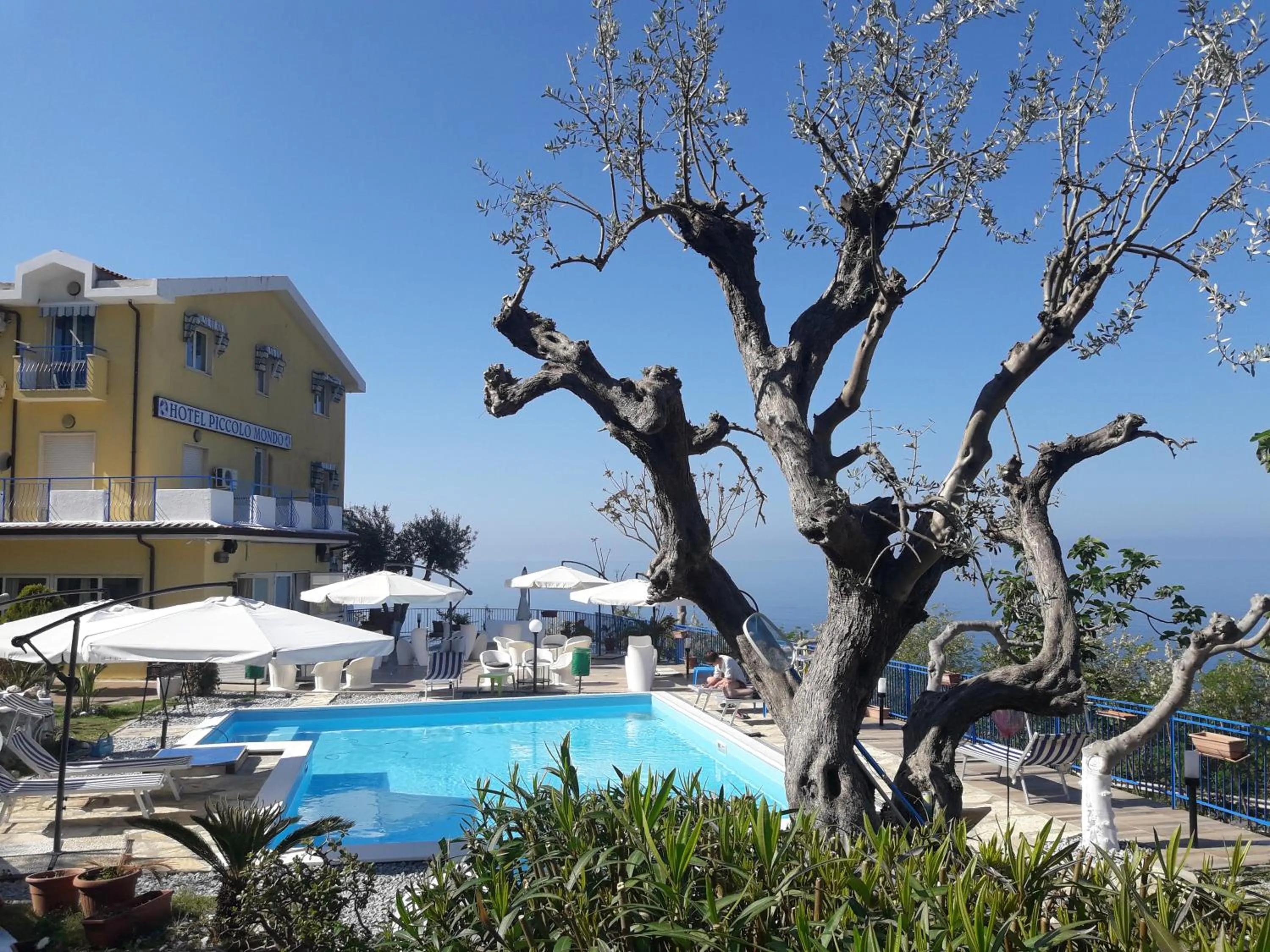 Garden in Hotel Piccolo Mondo