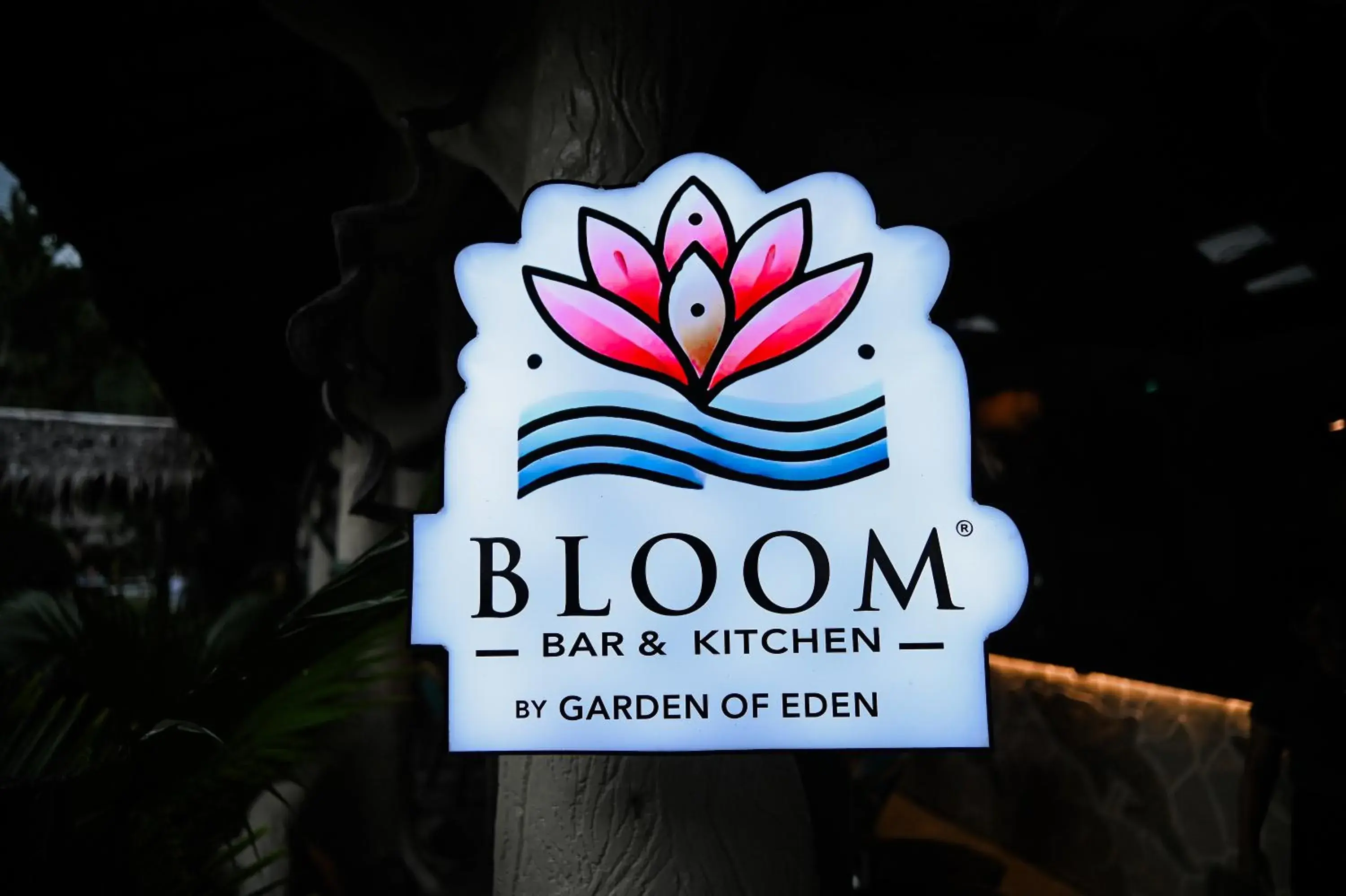 Street view in Garden of Eden Dive Resort Street view in Garden of Eden Dive Resort