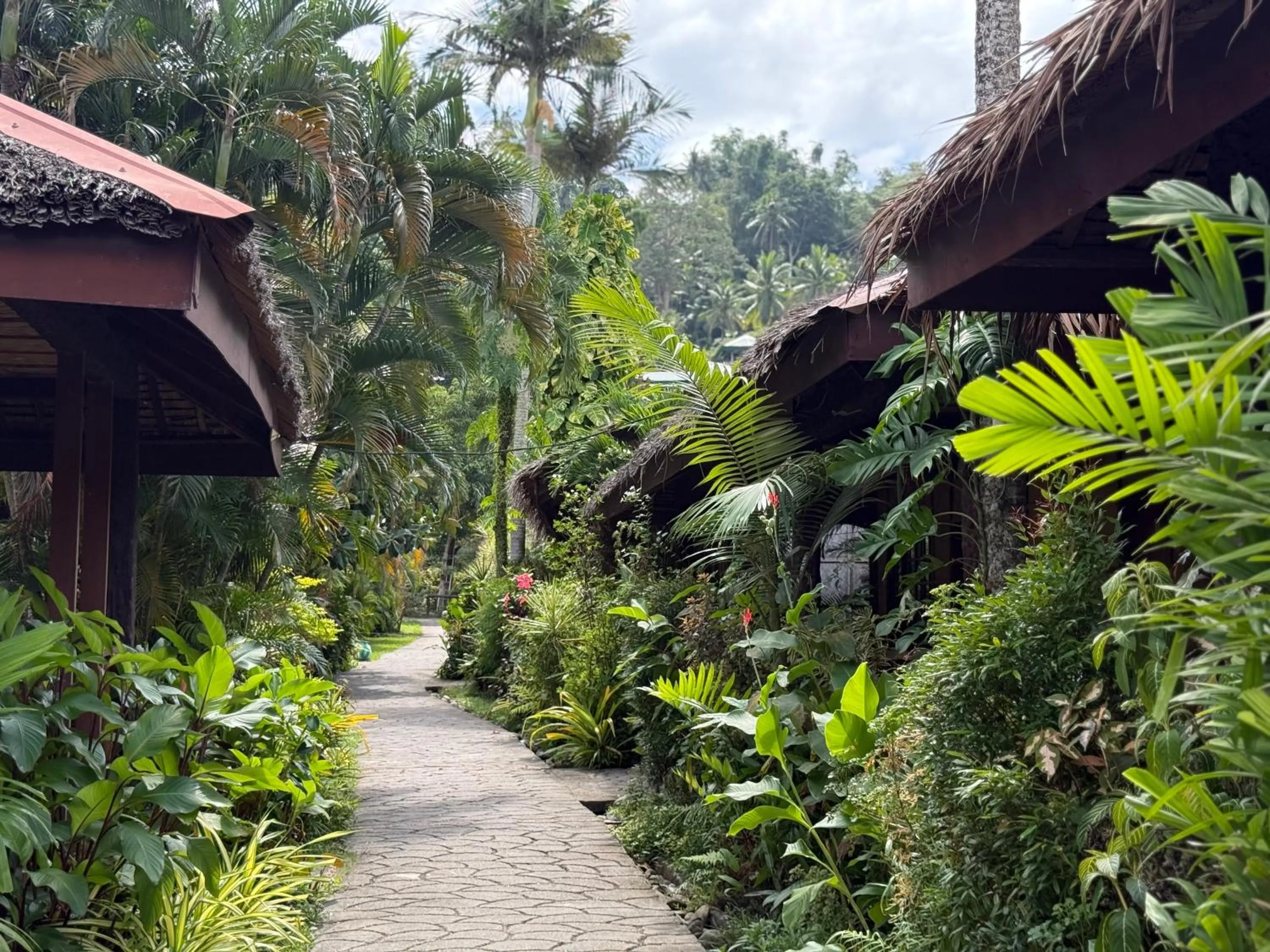 Garden in Garden of Eden Dive Resort