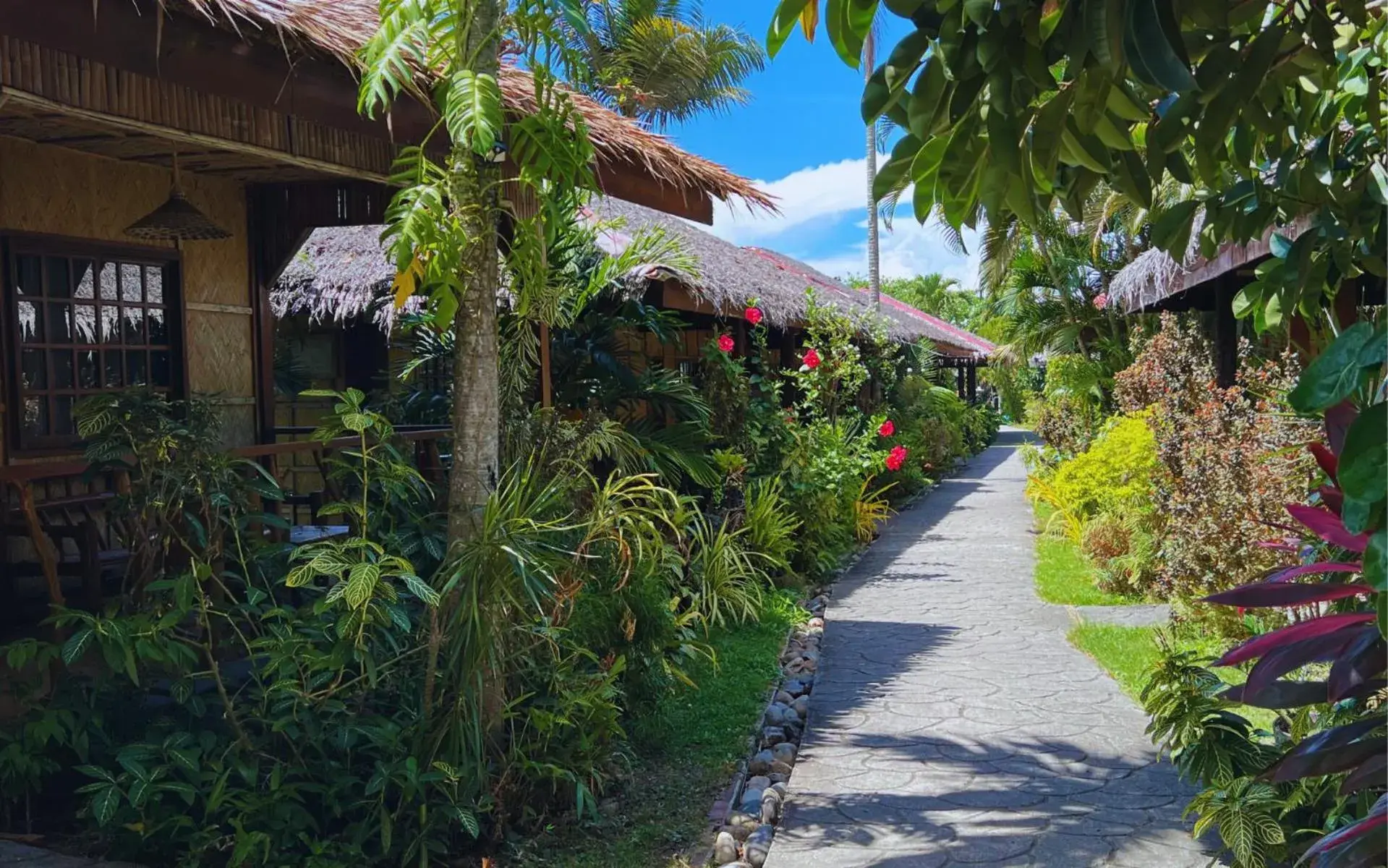 Garden view in Garden of Eden Dive Resort Garden view in Garden of Eden Dive Resort