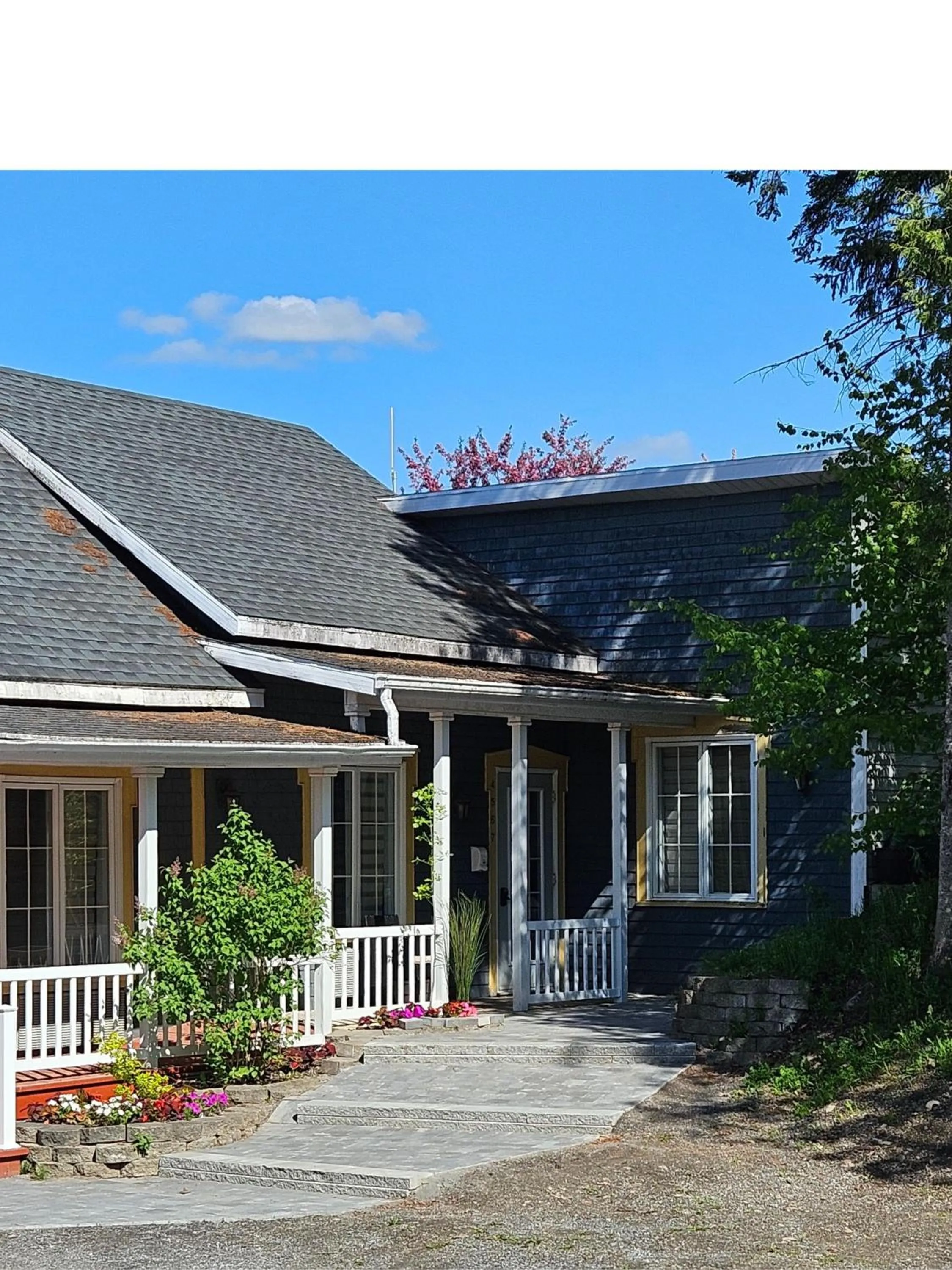 hôtel Fleurs Karaïbes