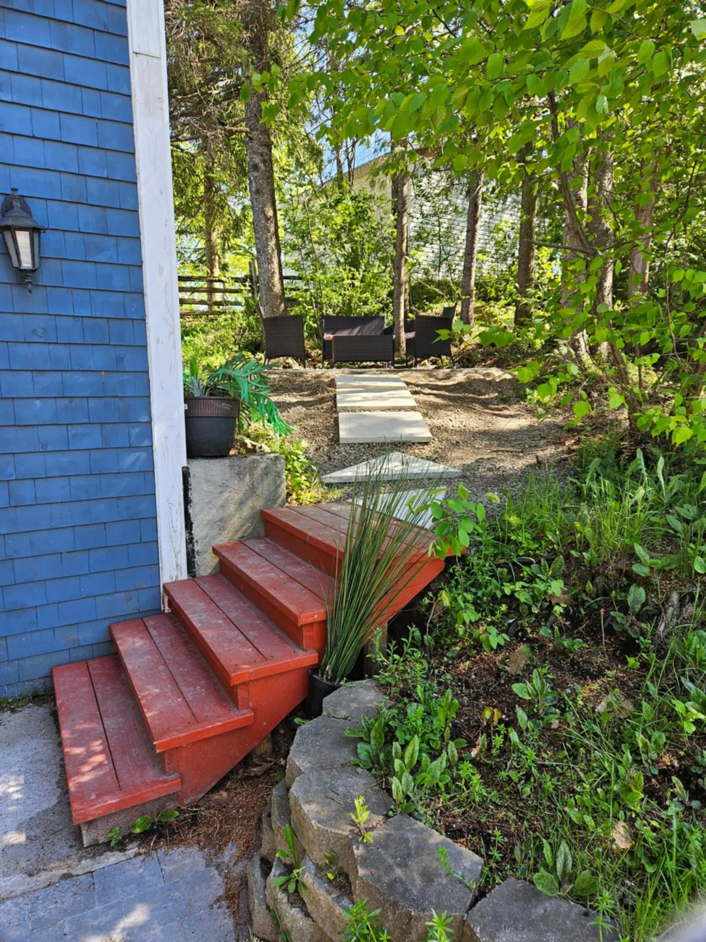 Garden in hôtel Fleurs Karaïbes