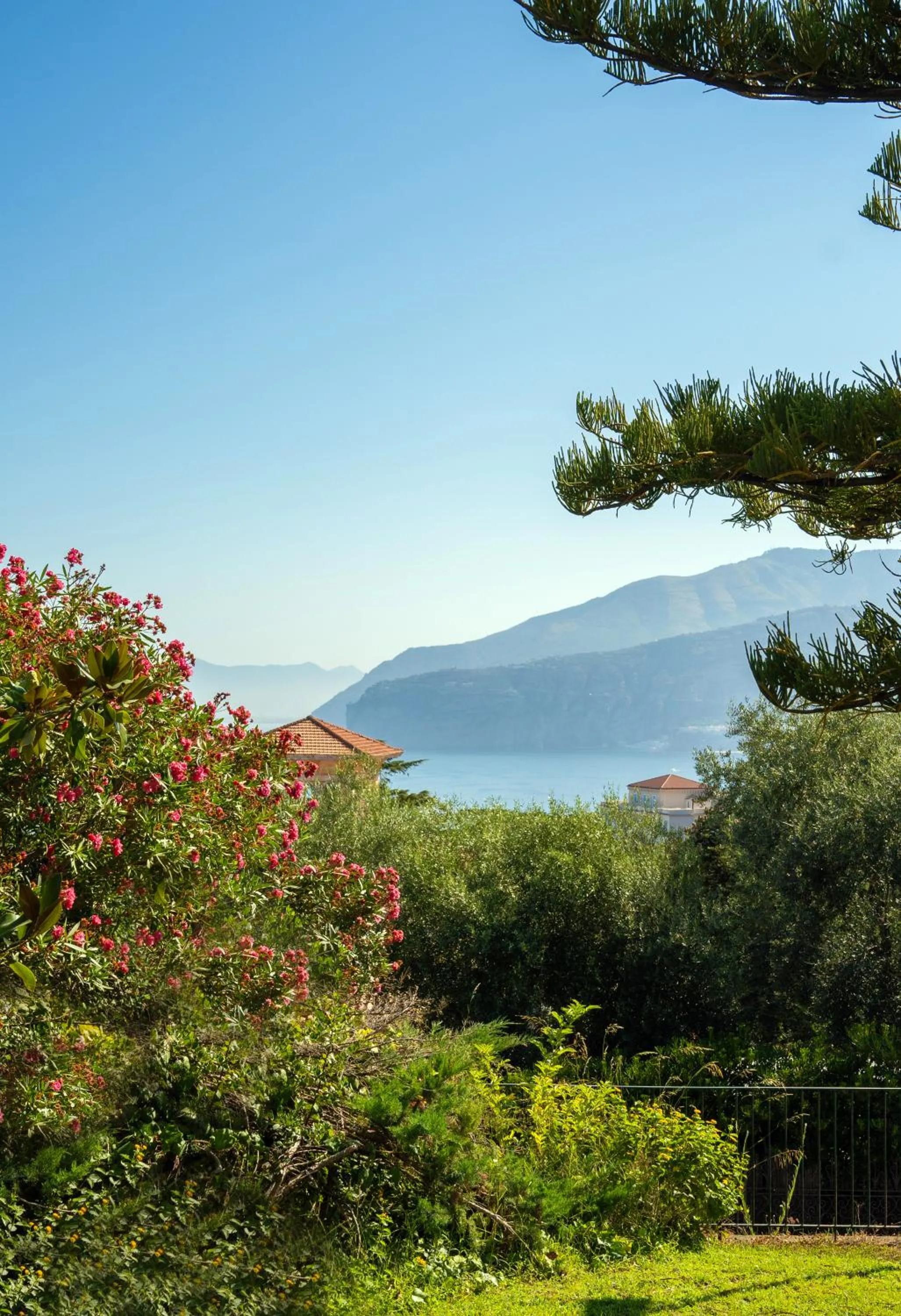 Garden in Grand Hotel Vesuvio