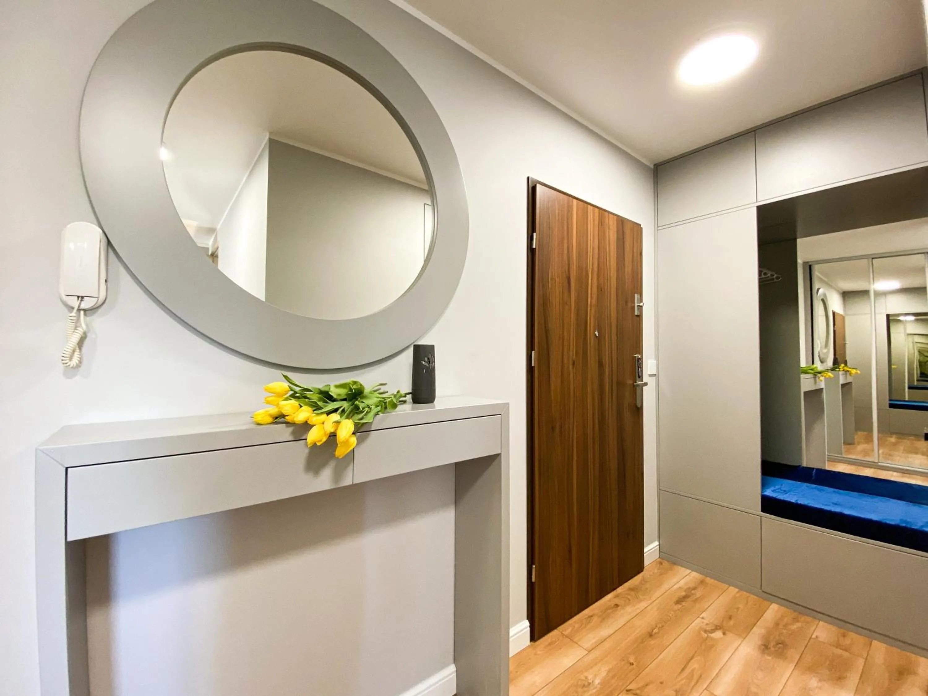 Photo of the whole room in BP Gray Premium