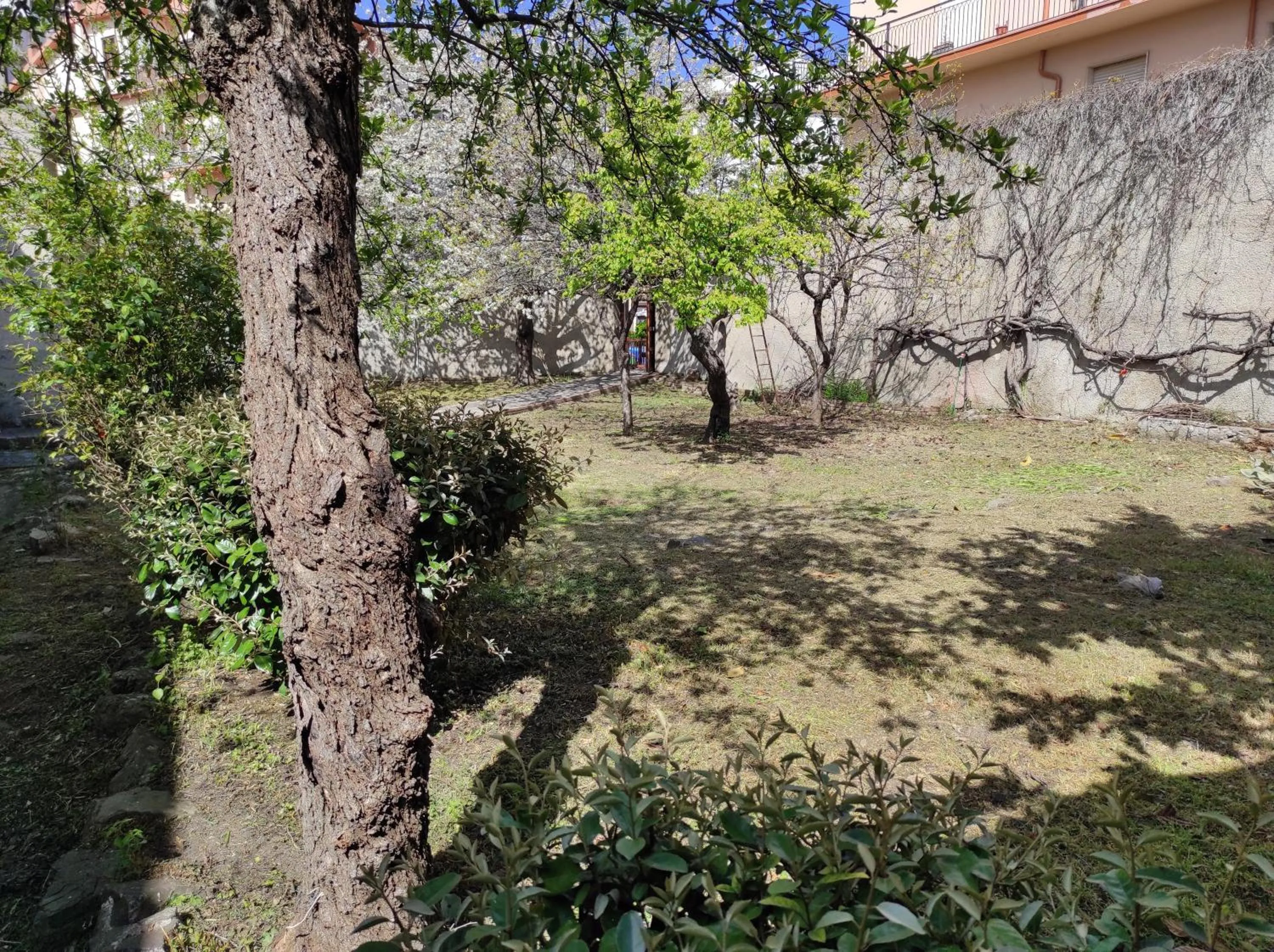 Garden in Antica Dimora Palazzo Rovitti