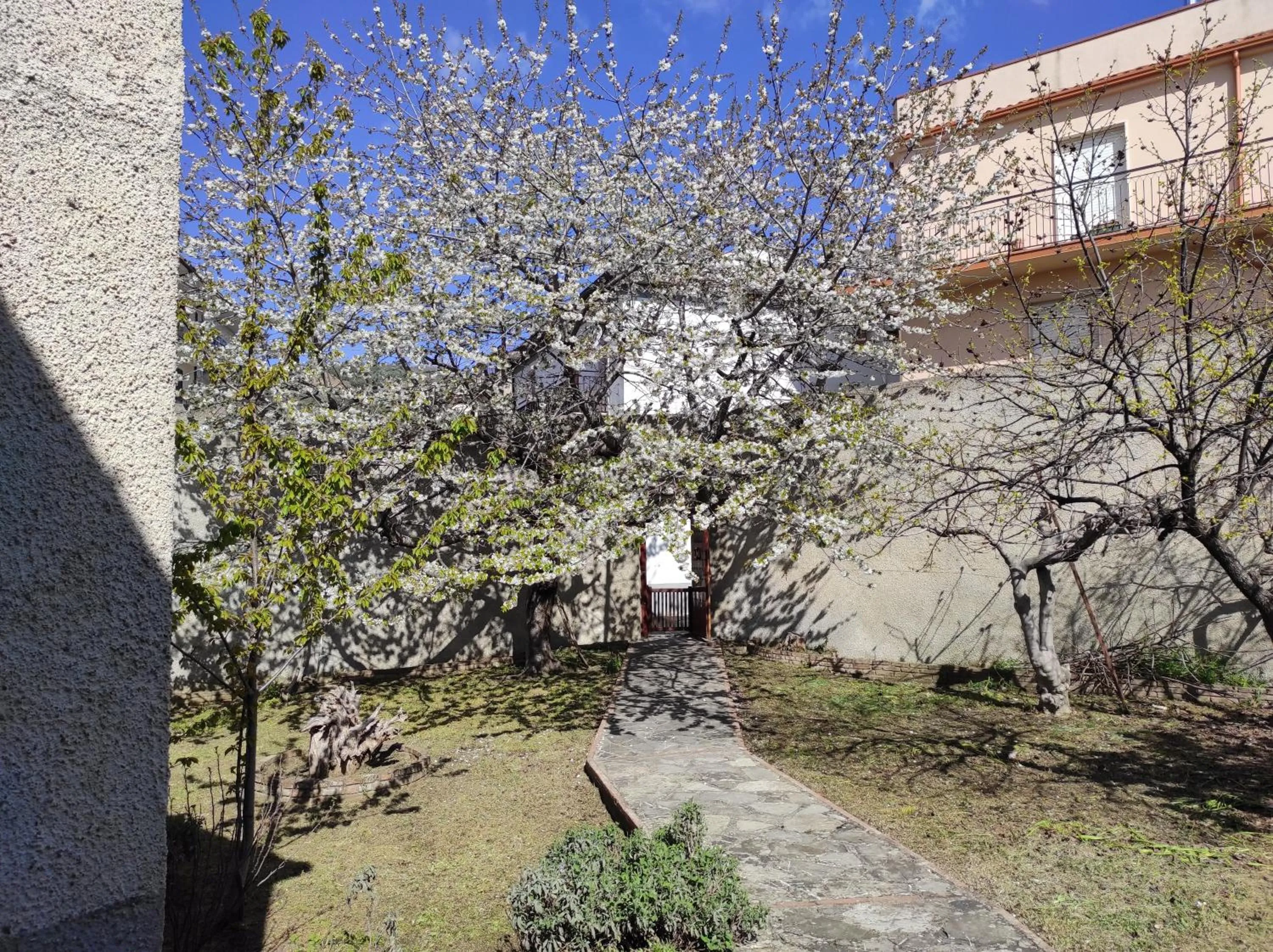 Garden in Antica Dimora Palazzo Rovitti