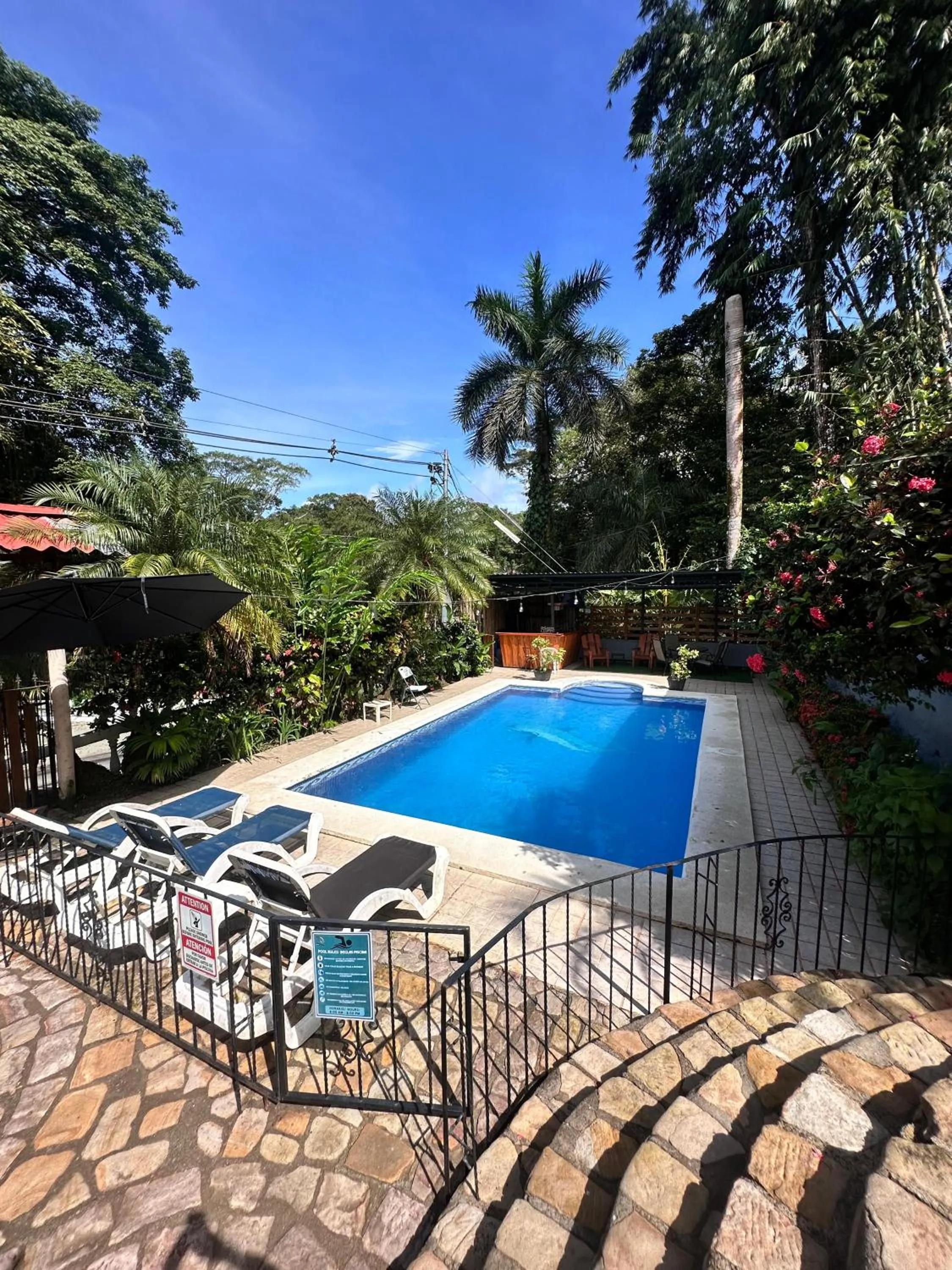 Swimming pool in Hospedaje Colibri