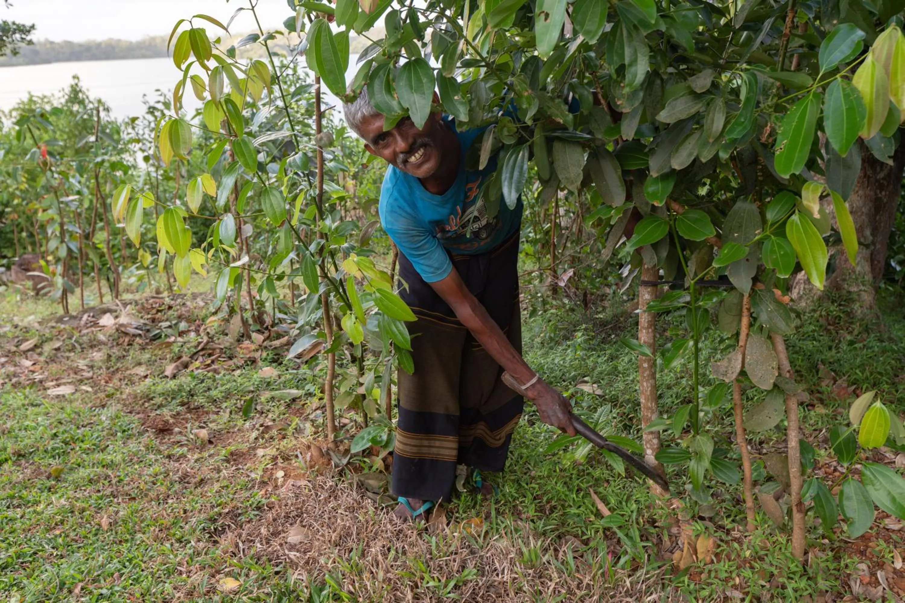 Natural landscape in Serendipity Lake - Hikkaduwa