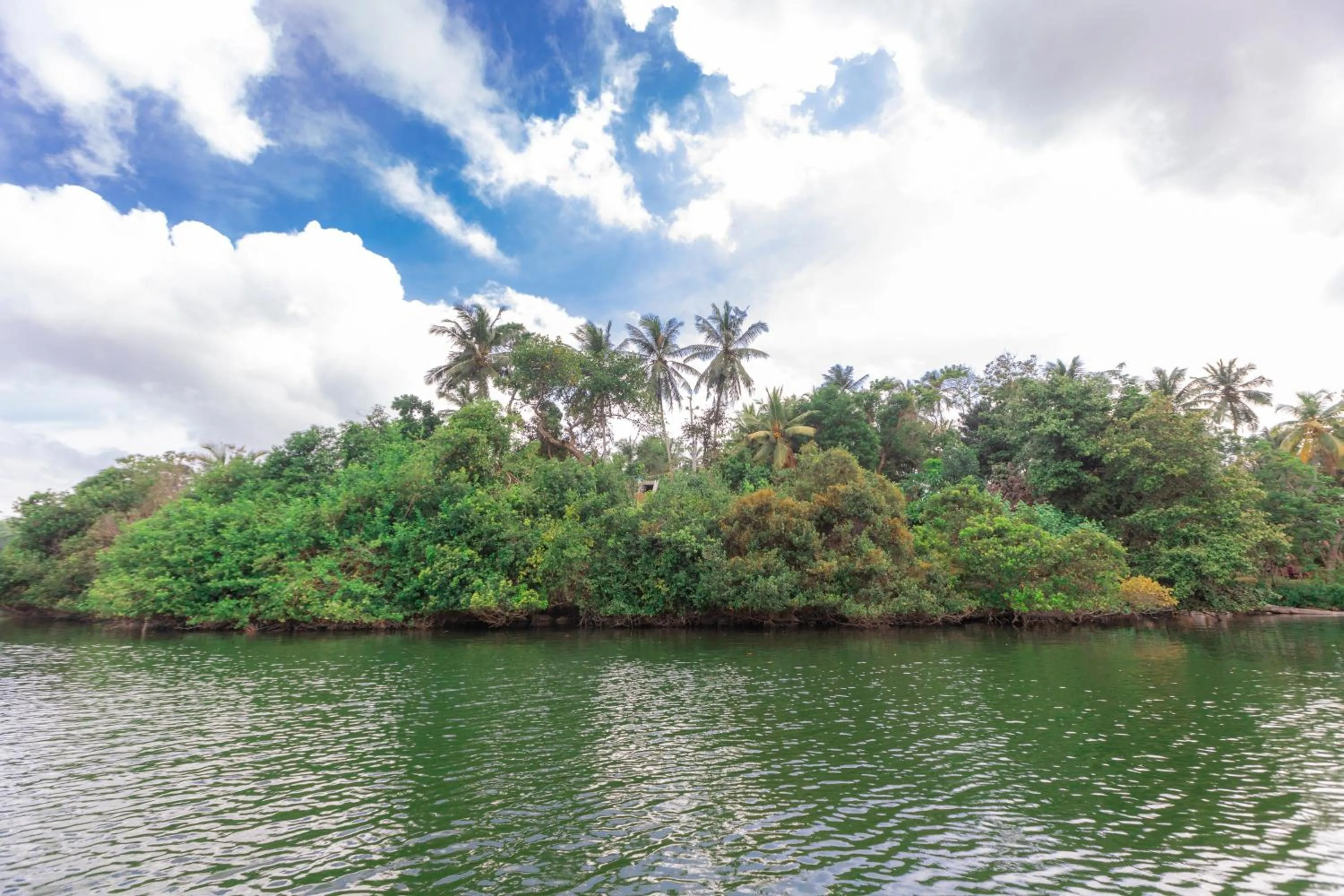 Day in Serendipity Lake - Hikkaduwa
