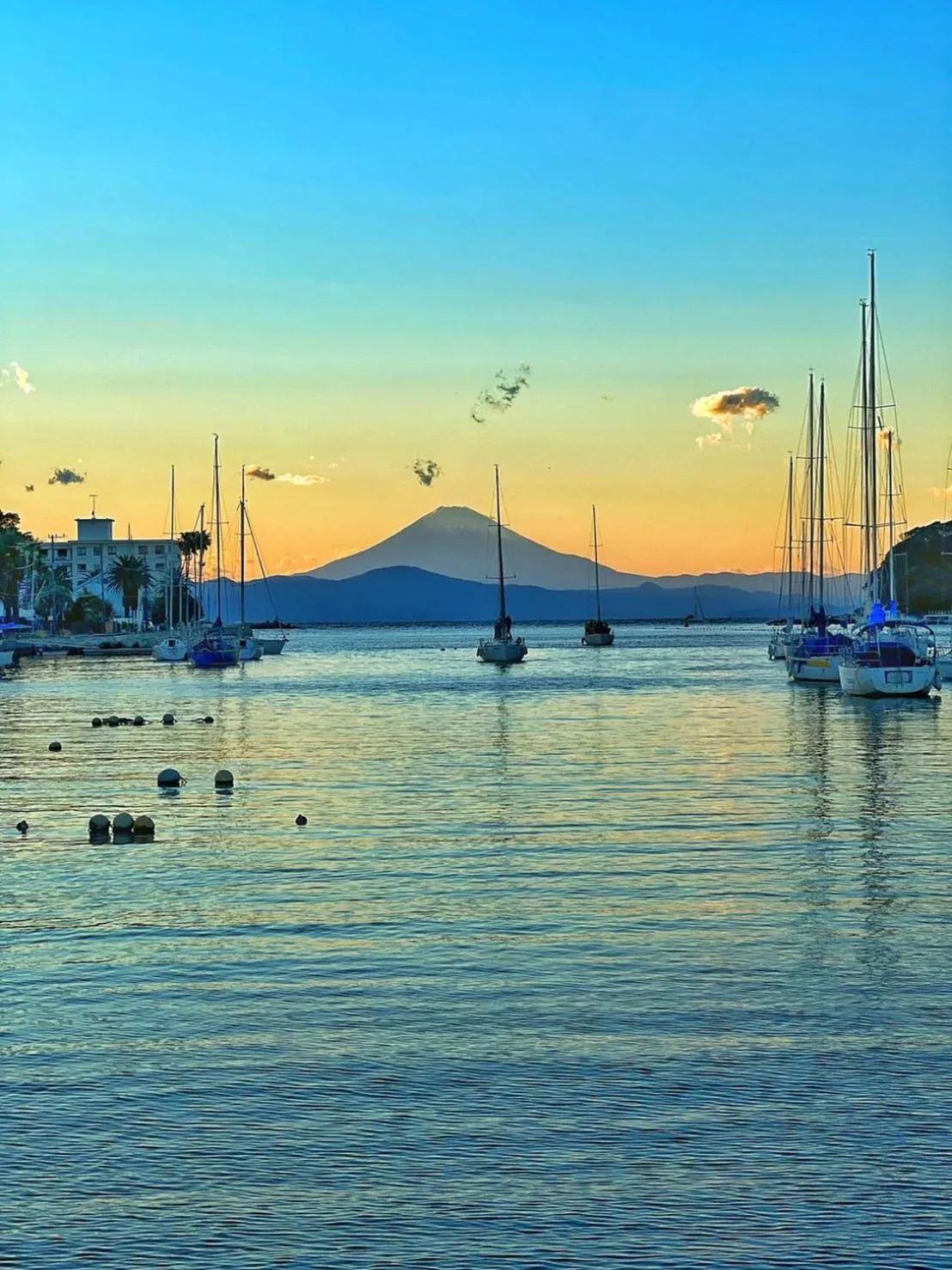 Natural landscape in ABURATSUBO Bekkan 三浦半島の最南端にある有数のマグロの町 BBQが可能な貸別荘