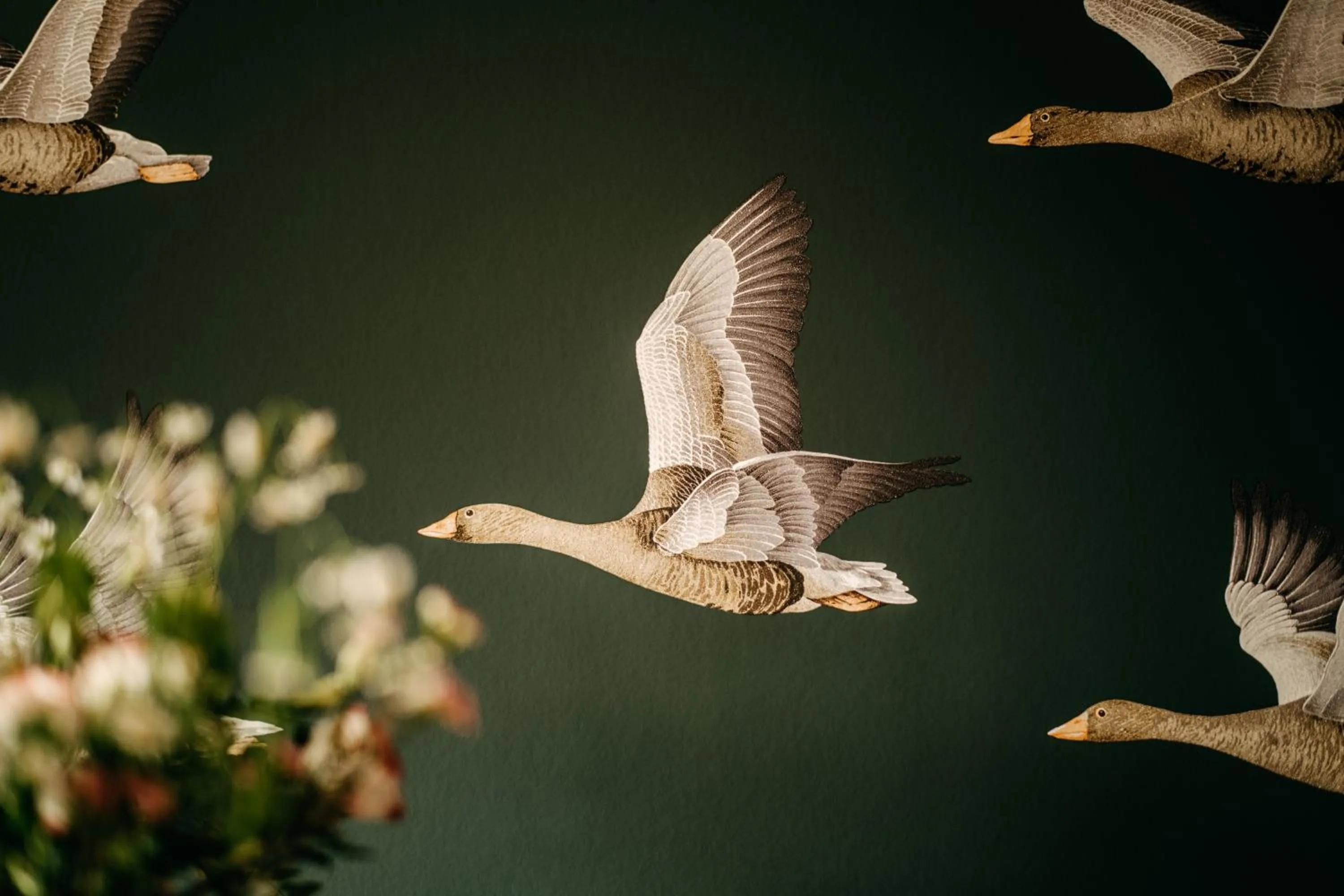 Property building in Seaside 43