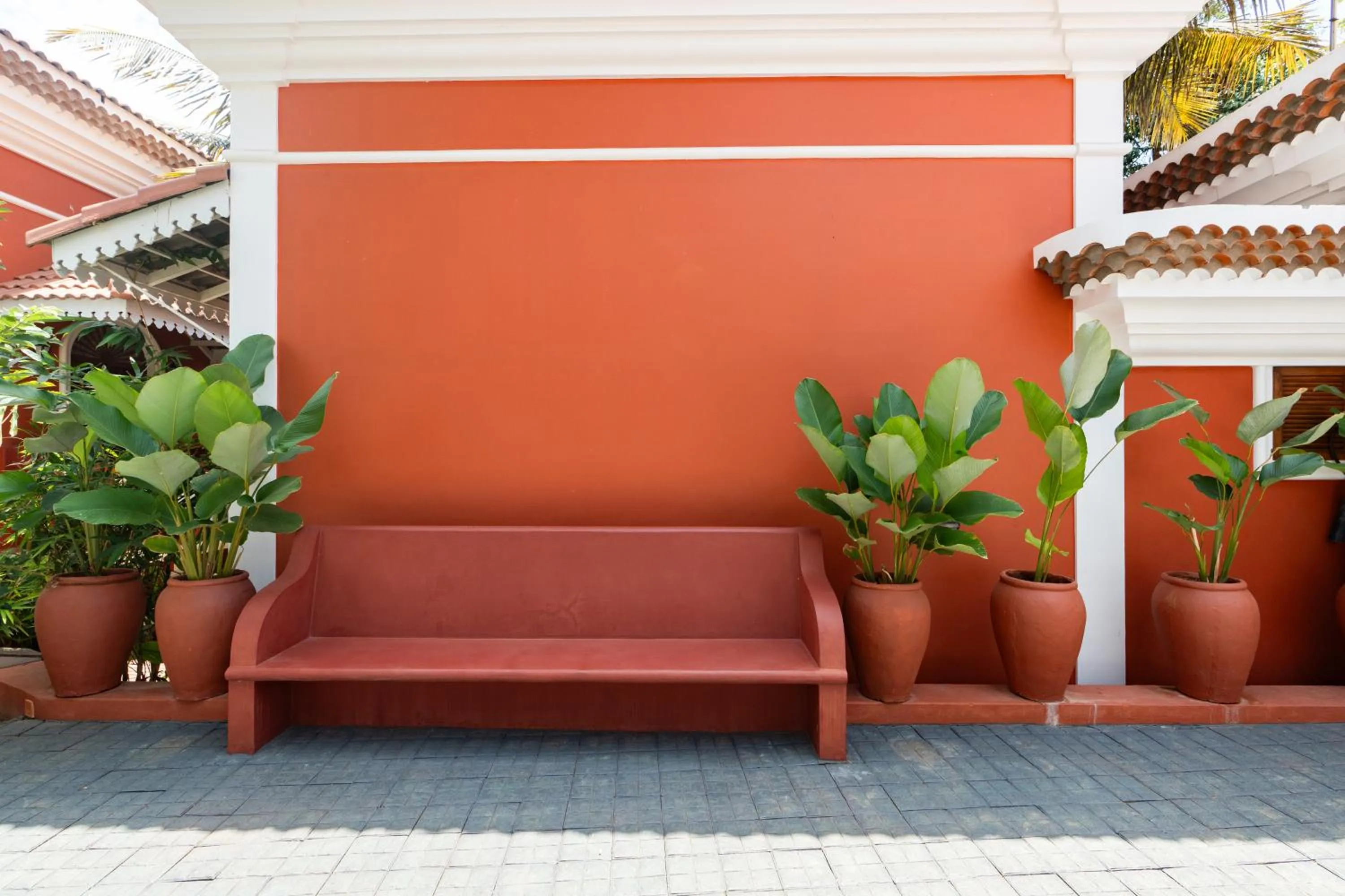 Garden in Casa Albuquerque