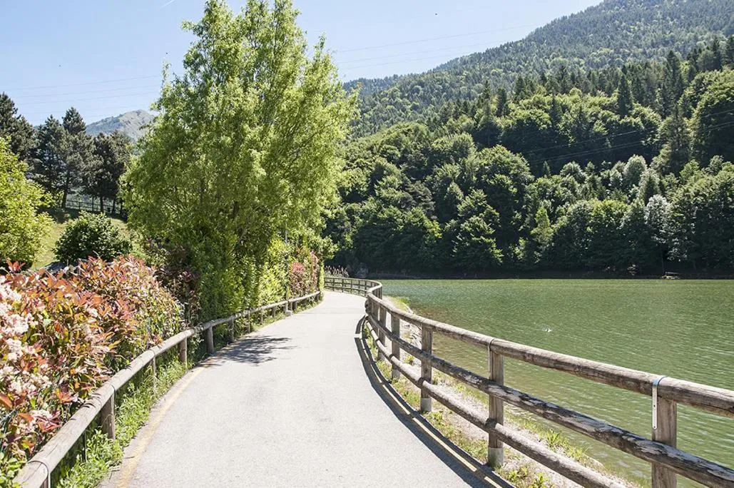 Natural landscape in Hotel Carlone