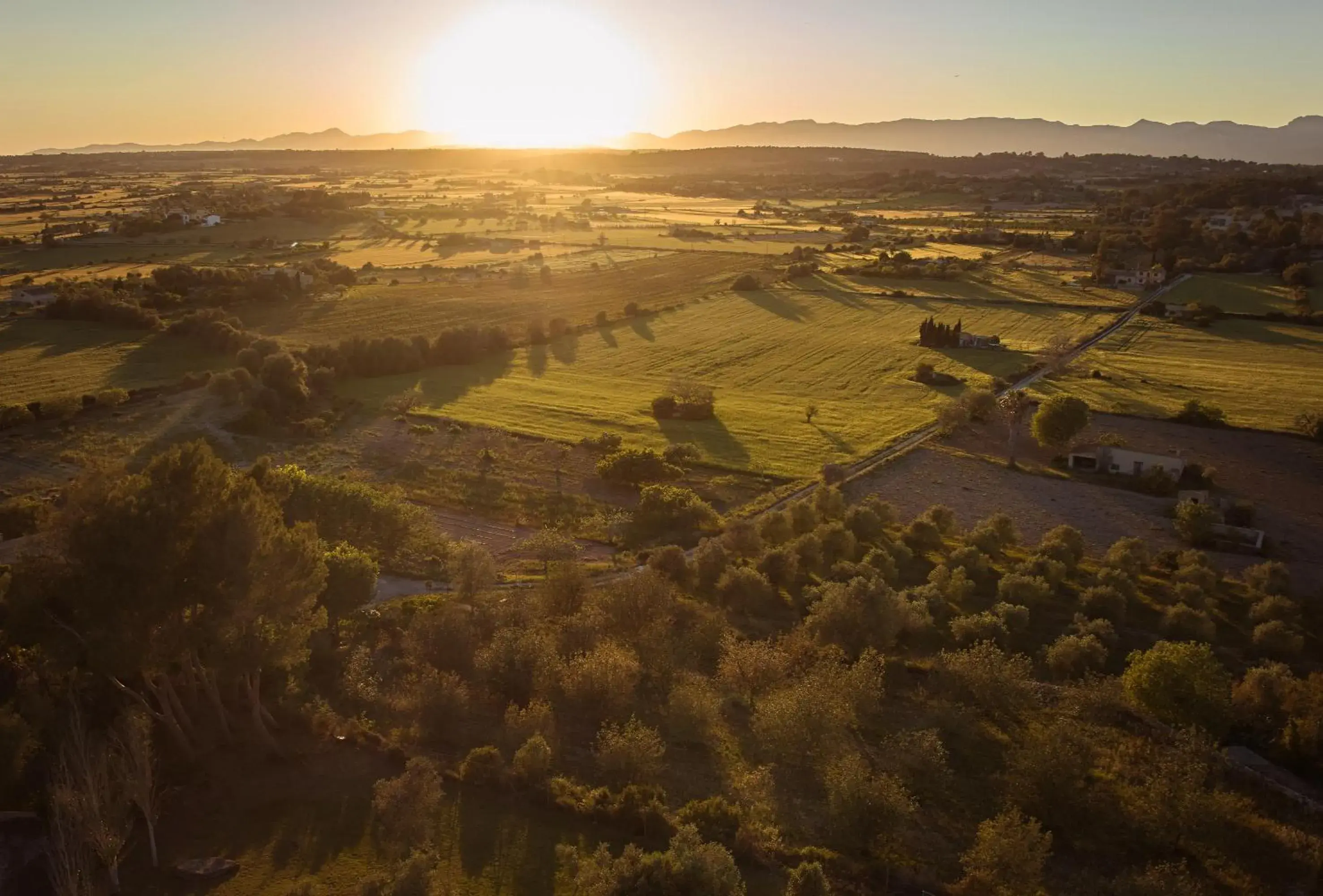 Bird's eye view in Es Figueral Nou Hotel Rural & Spa - Adults Only - Over 12 Bird's eye view in Es Figueral Nou Hotel Rural & Spa - Adults Only - Over 12
