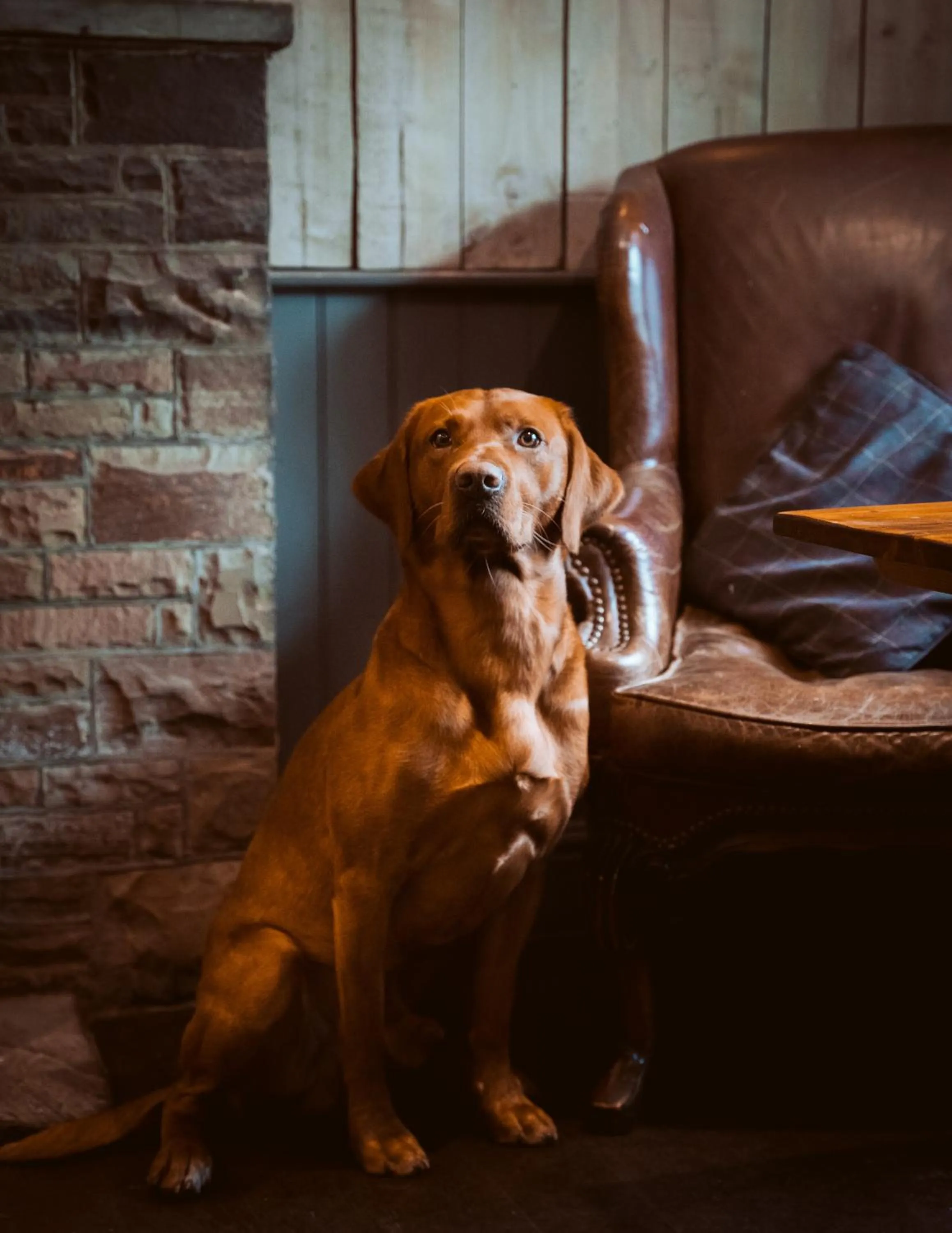 Lounge or bar in Bulls Head - Holymoorside