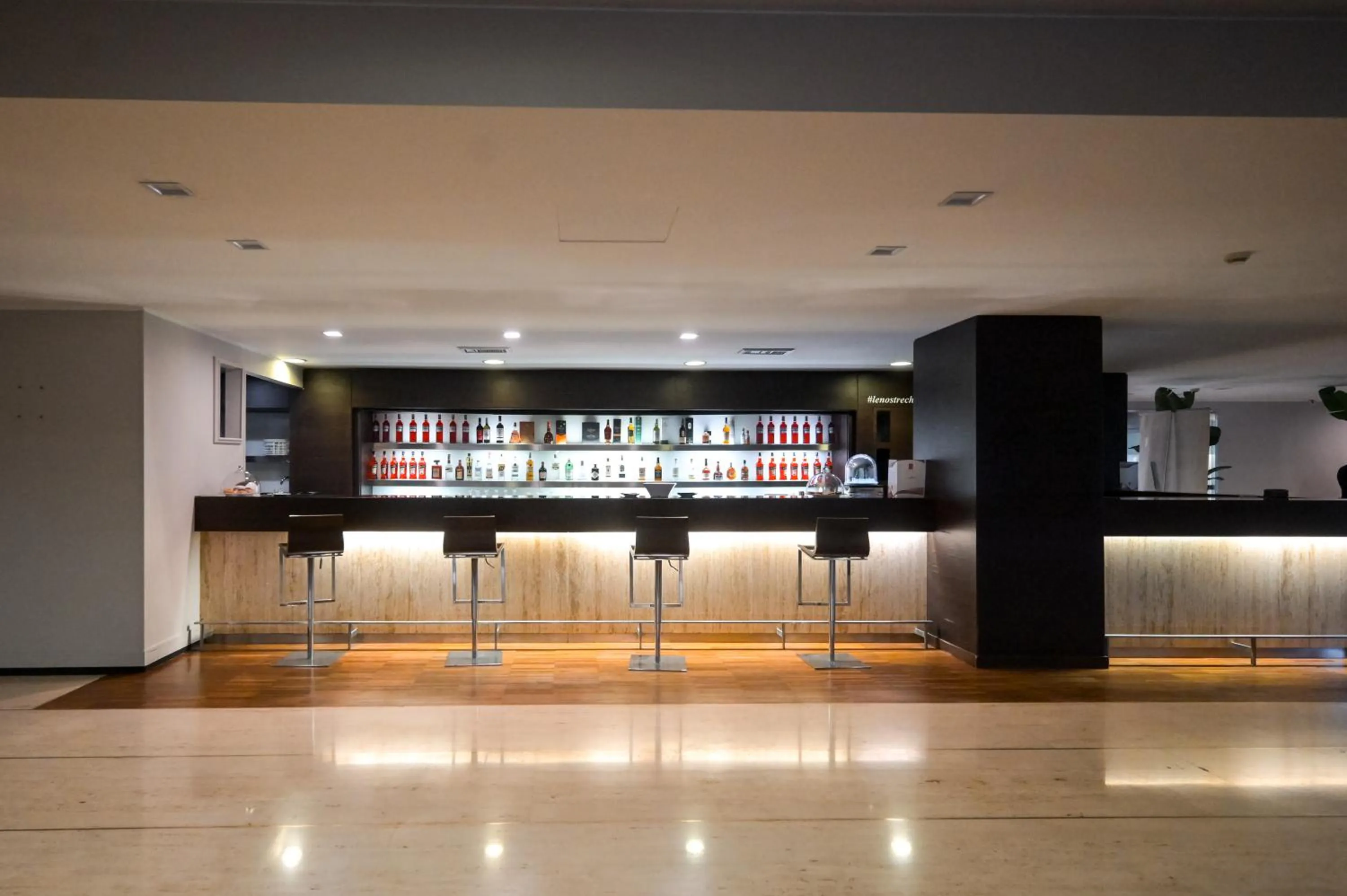 Lounge or bar in Hotel Selene Pomezia