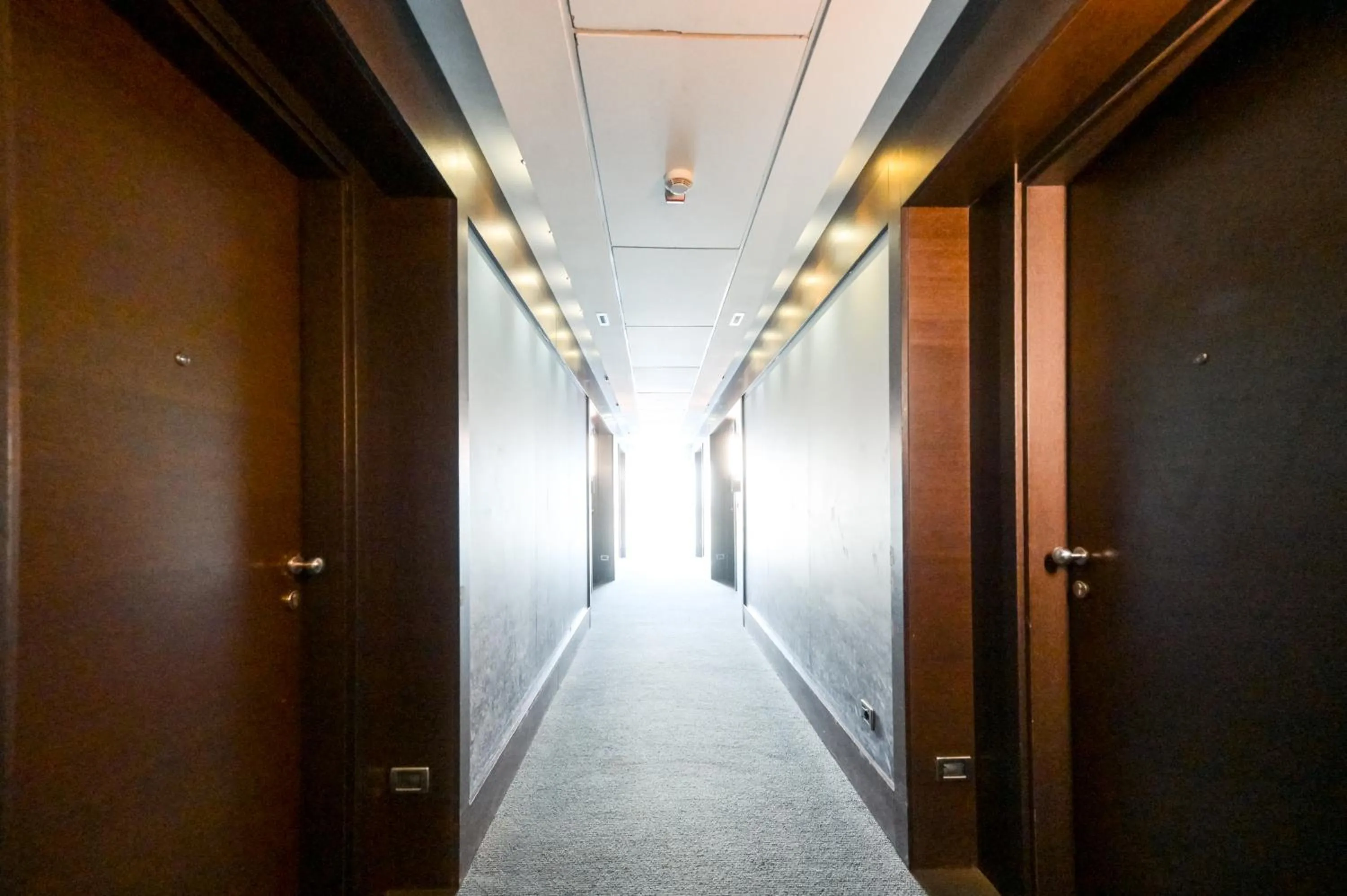 Property building in Hotel Selene Pomezia