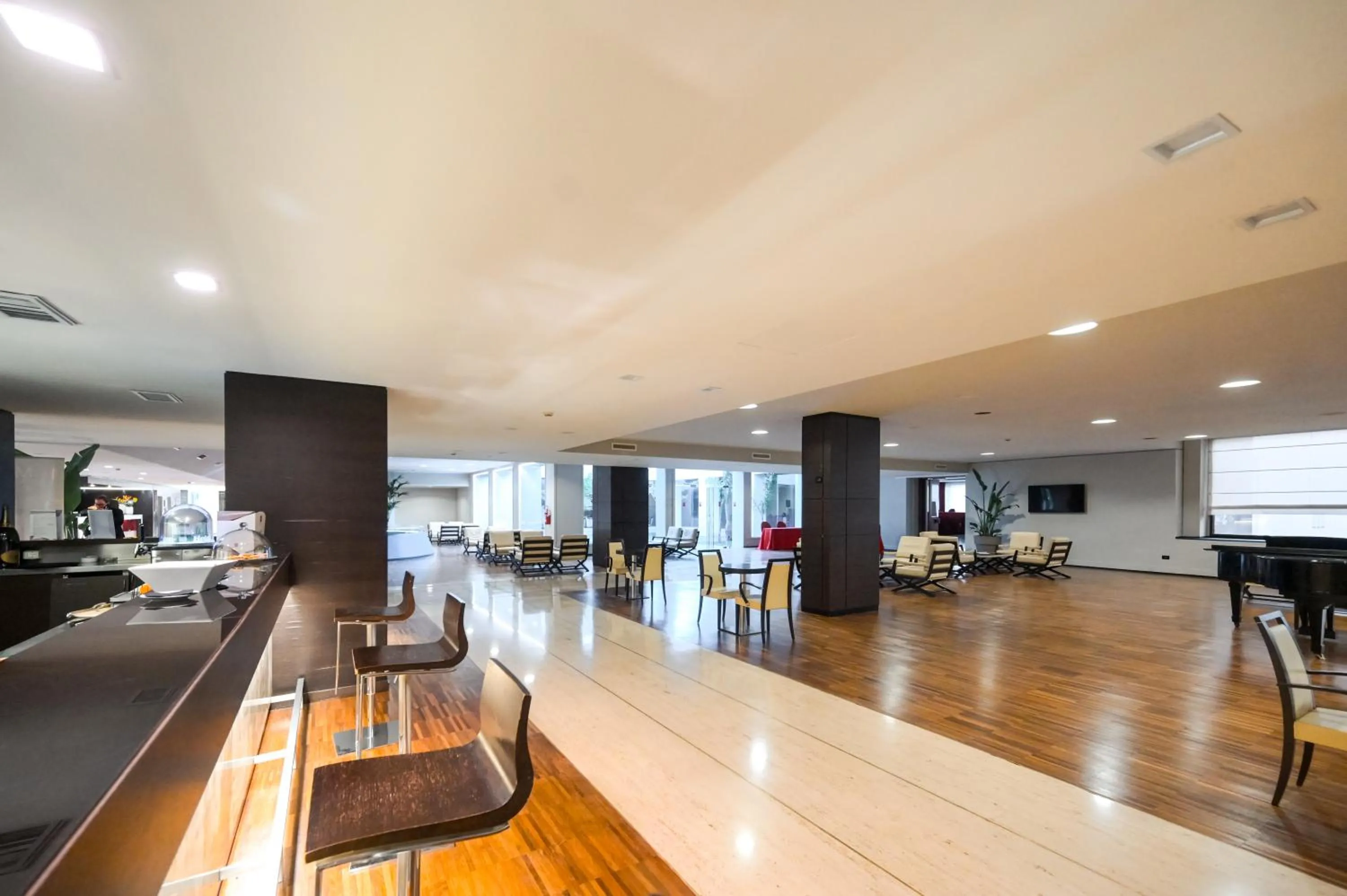 Lounge or bar in Hotel Selene Pomezia