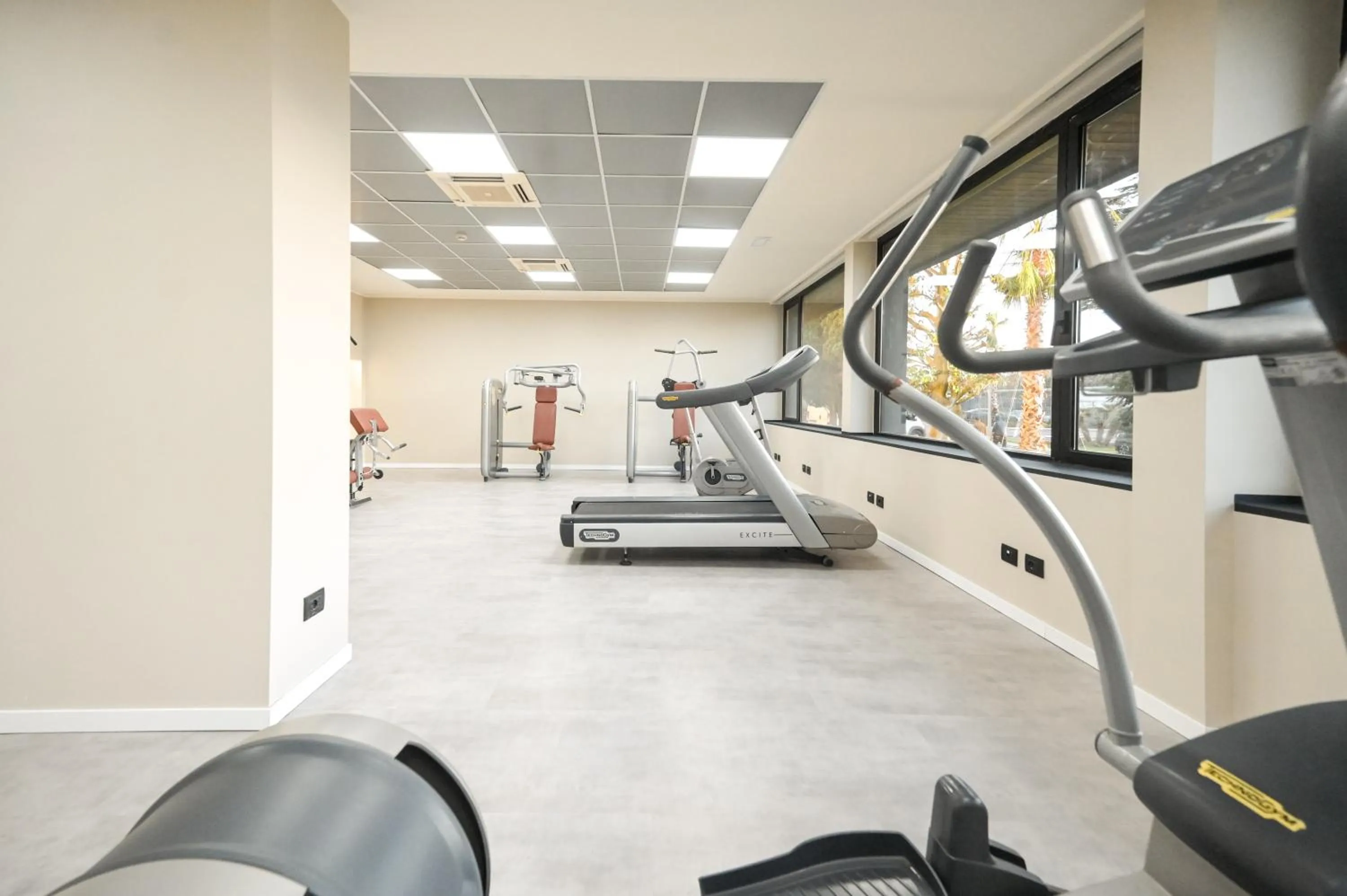 Fitness centre/facilities in Hotel Selene Pomezia